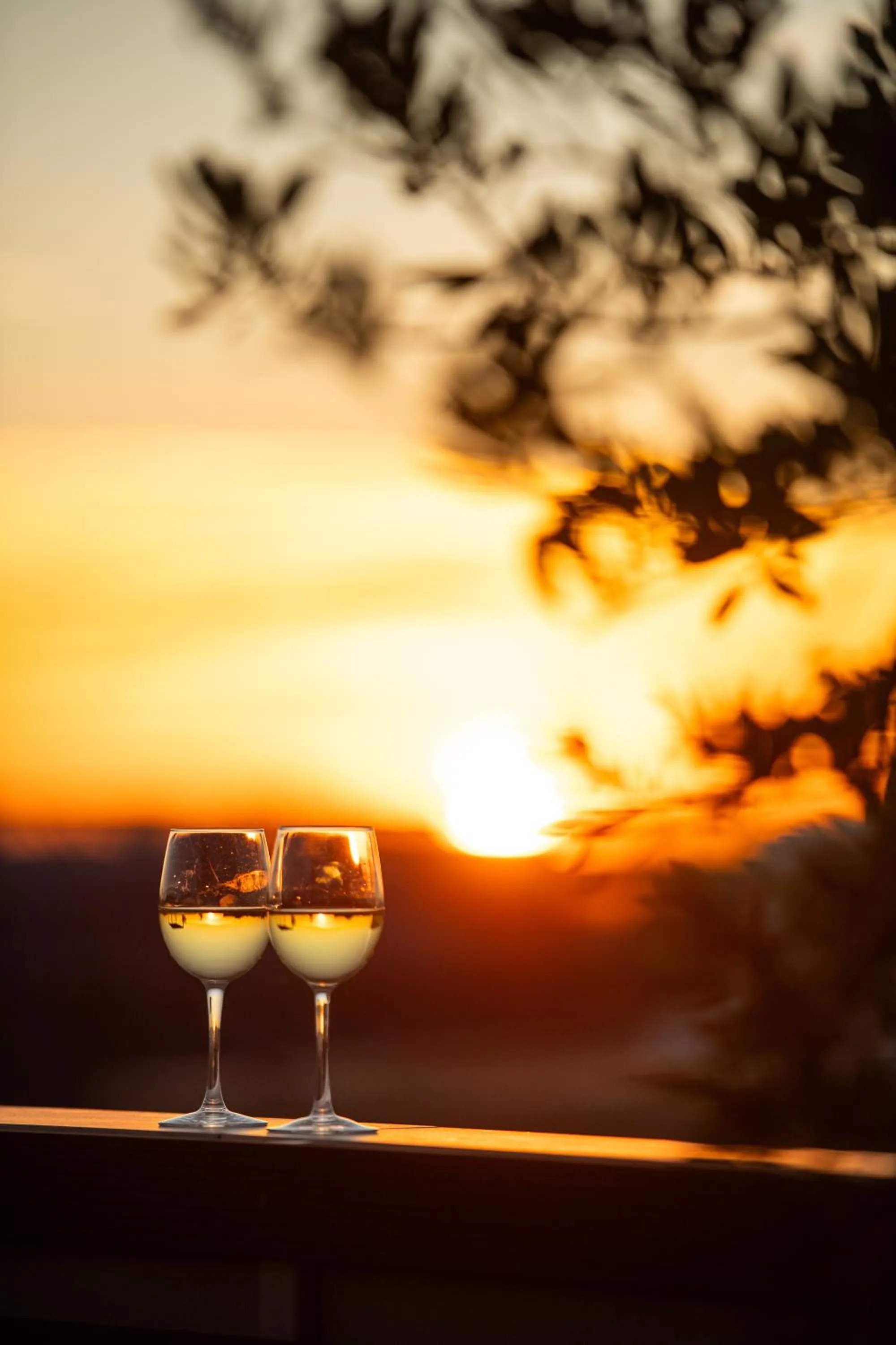 Natural landscape in Urban Nest - Suites & Apartments