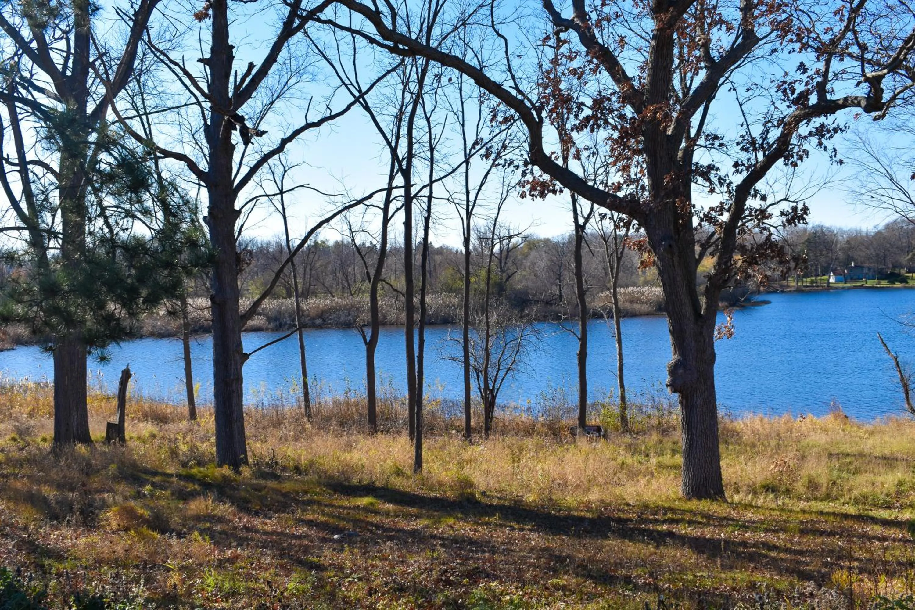 Rodeway Inn Auburn Hills - Detroit