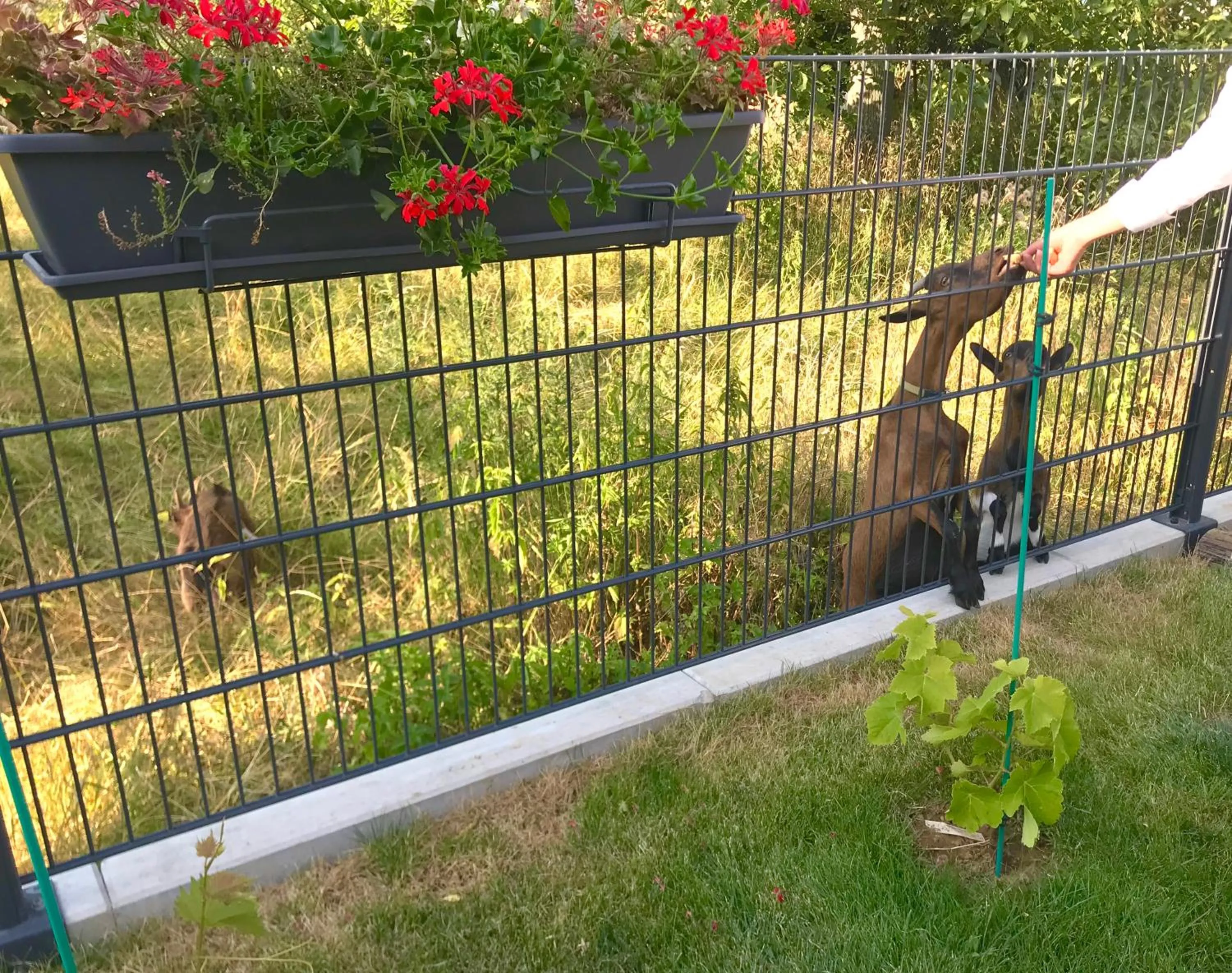 L'Attrap'Rêves : Le confort Hôtelier, la convivialité en plus