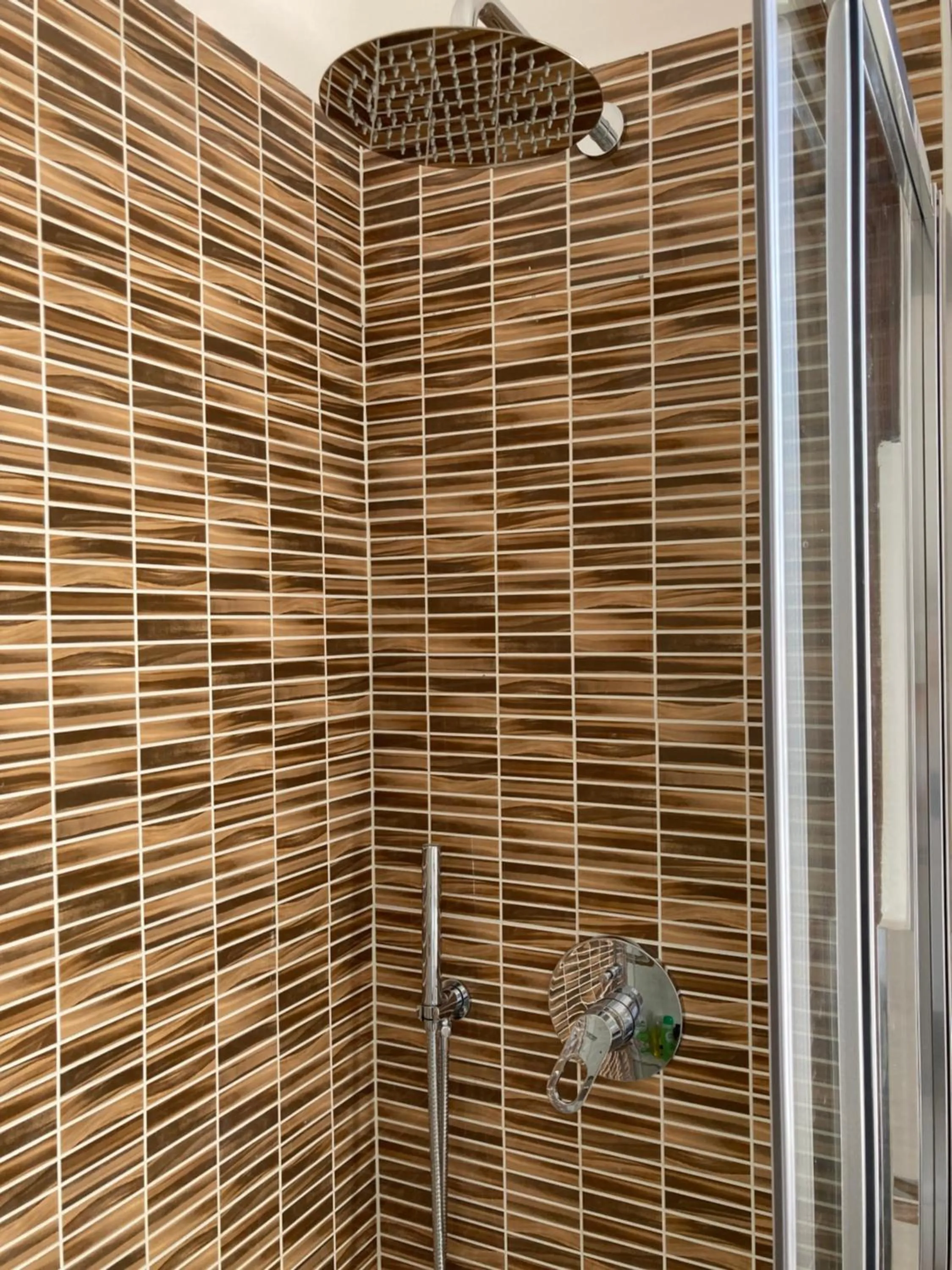 Shower in Room Saronno + B&B