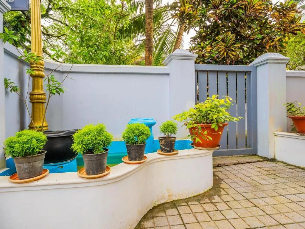 Garden in Elim Homestay Fort Kochi