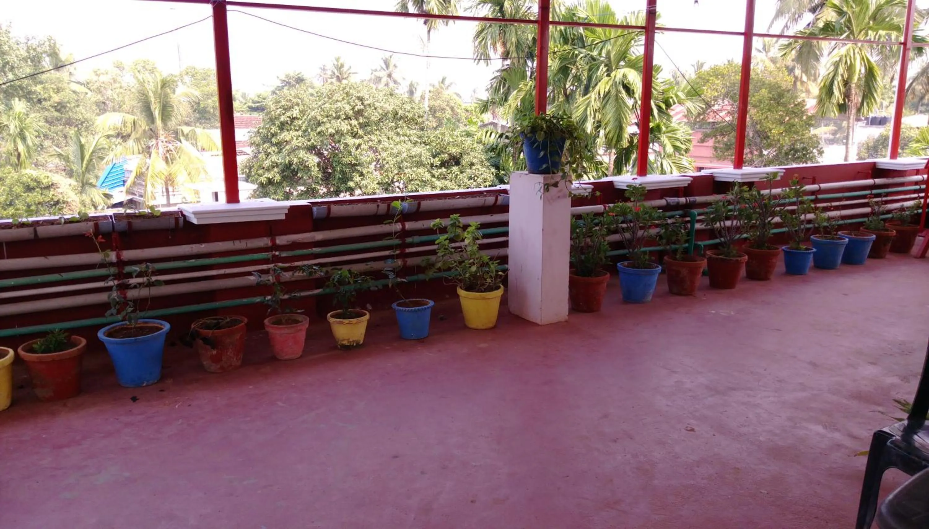 Garden in Elim Homestay Fort Kochi
