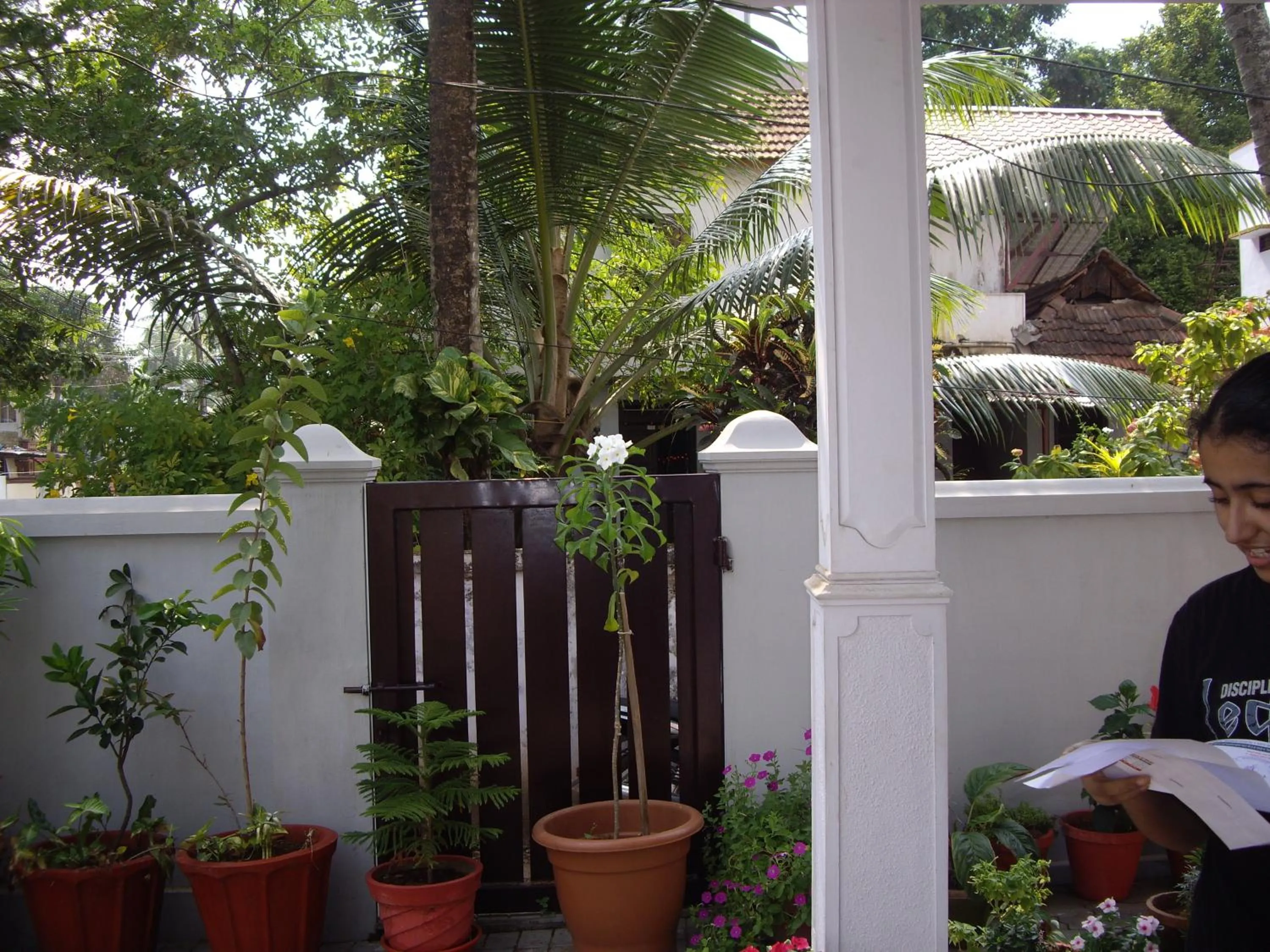 Garden in Elim Homestay Fort Kochi