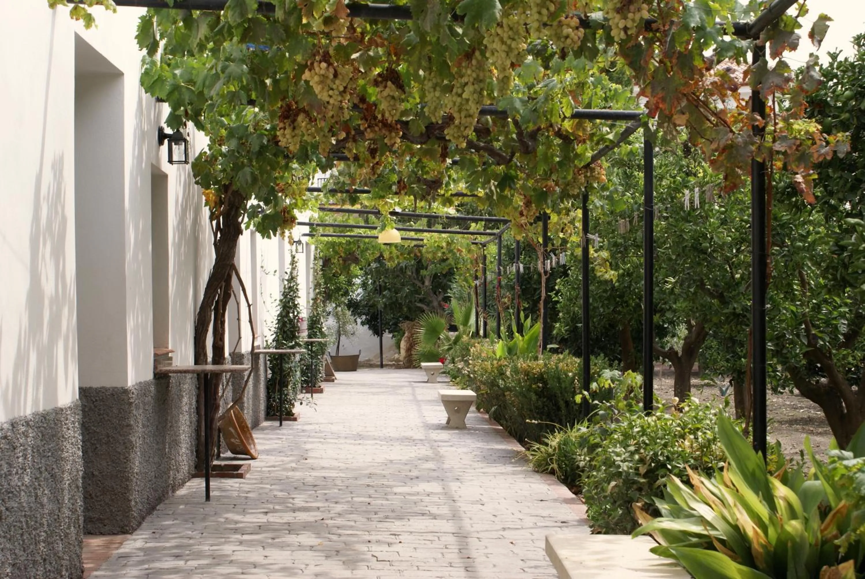 Garden in La Cañota King Rooms Adults Only