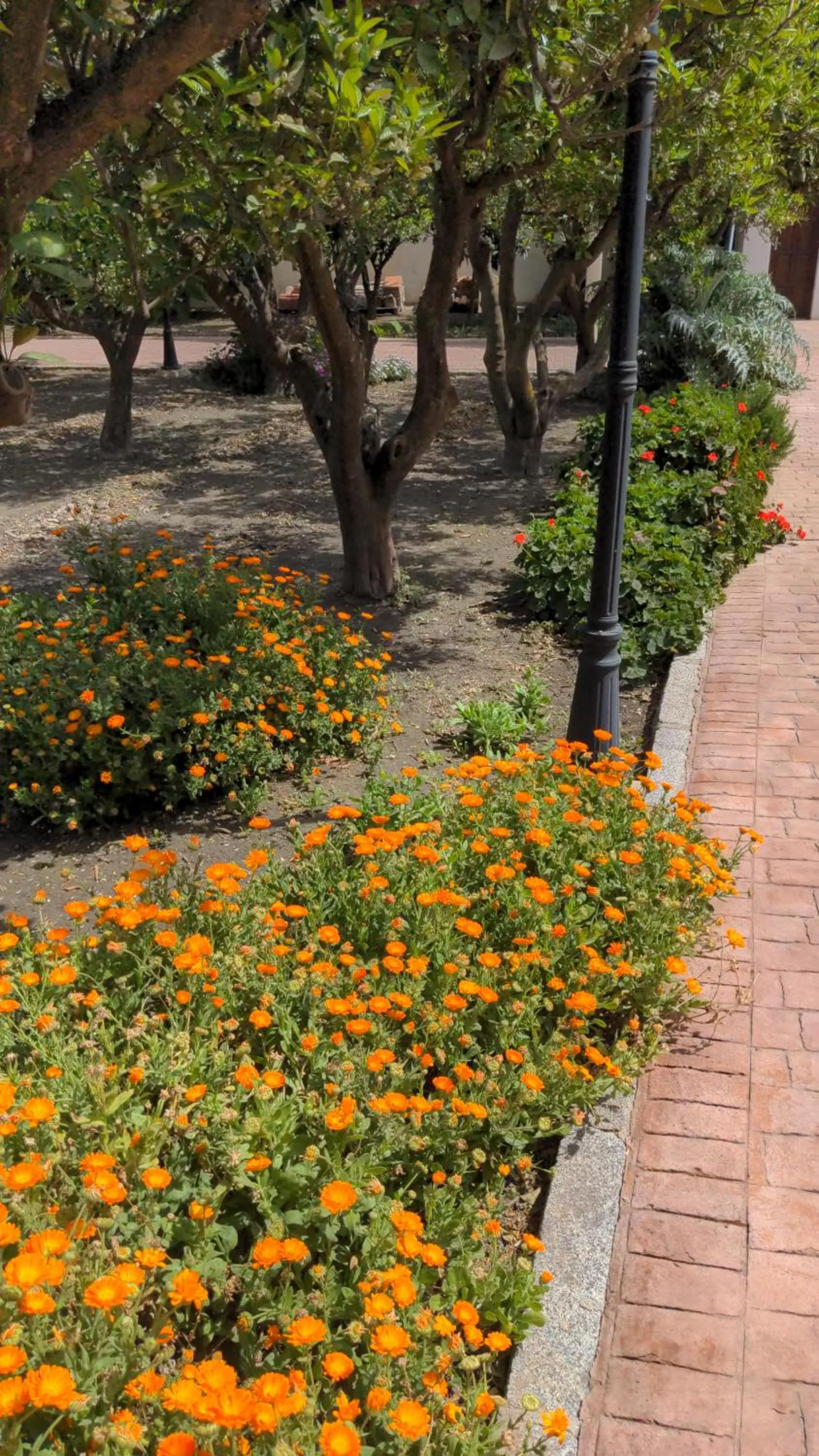 Spring in La Cañota King Rooms Adults Only