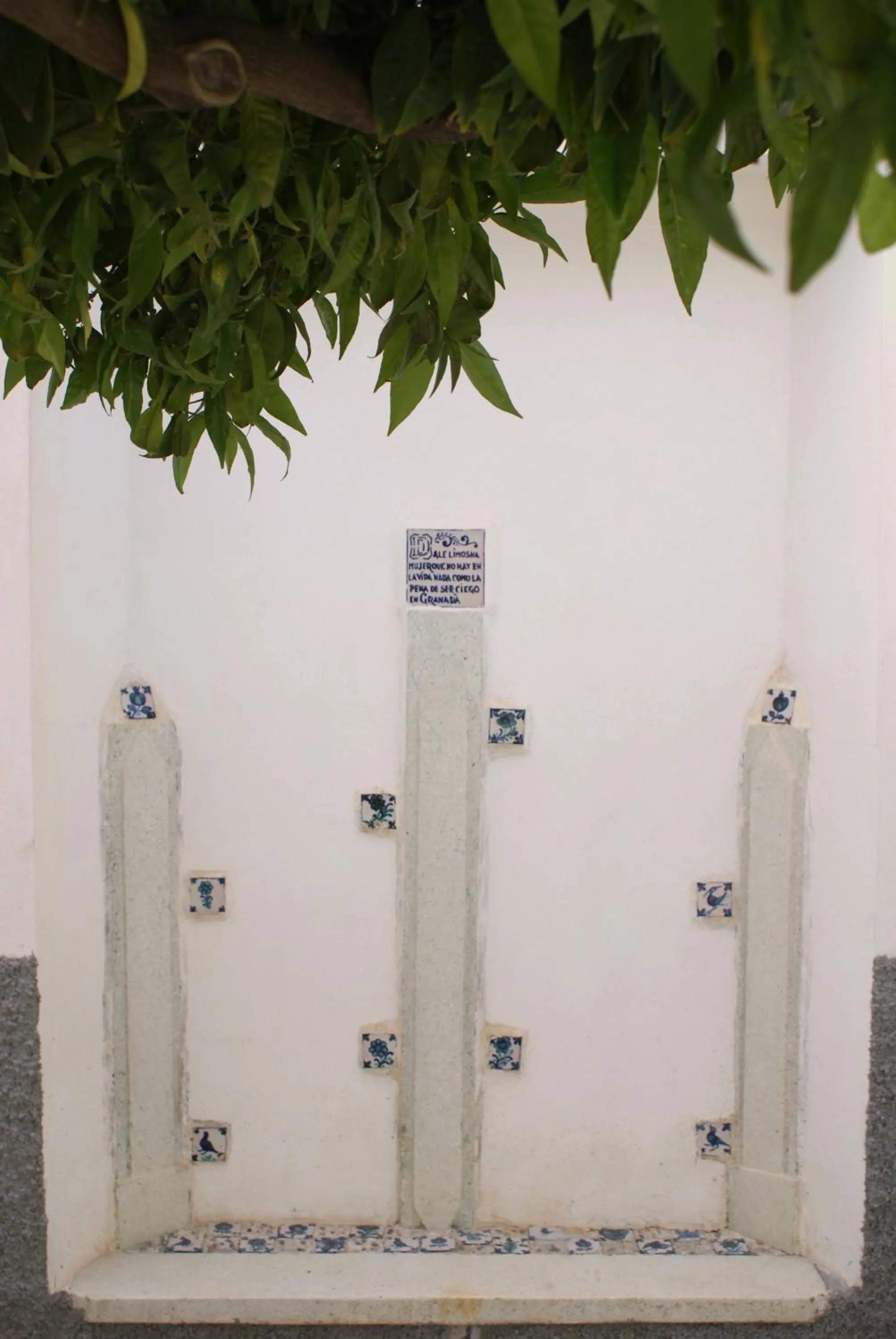 Garden in La Cañota King Rooms Adults Only