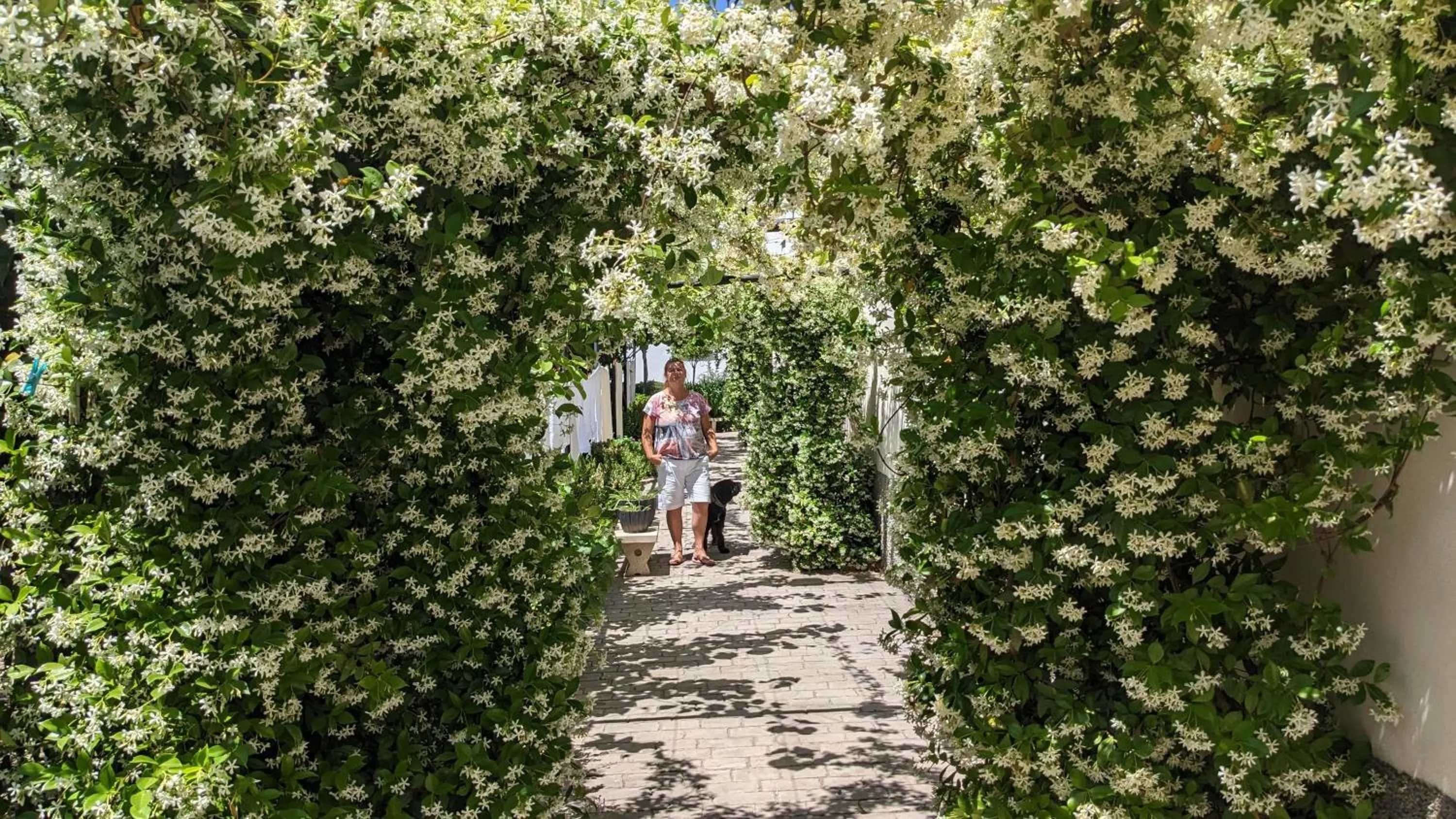 Spring in La Cañota King Rooms Adults Only