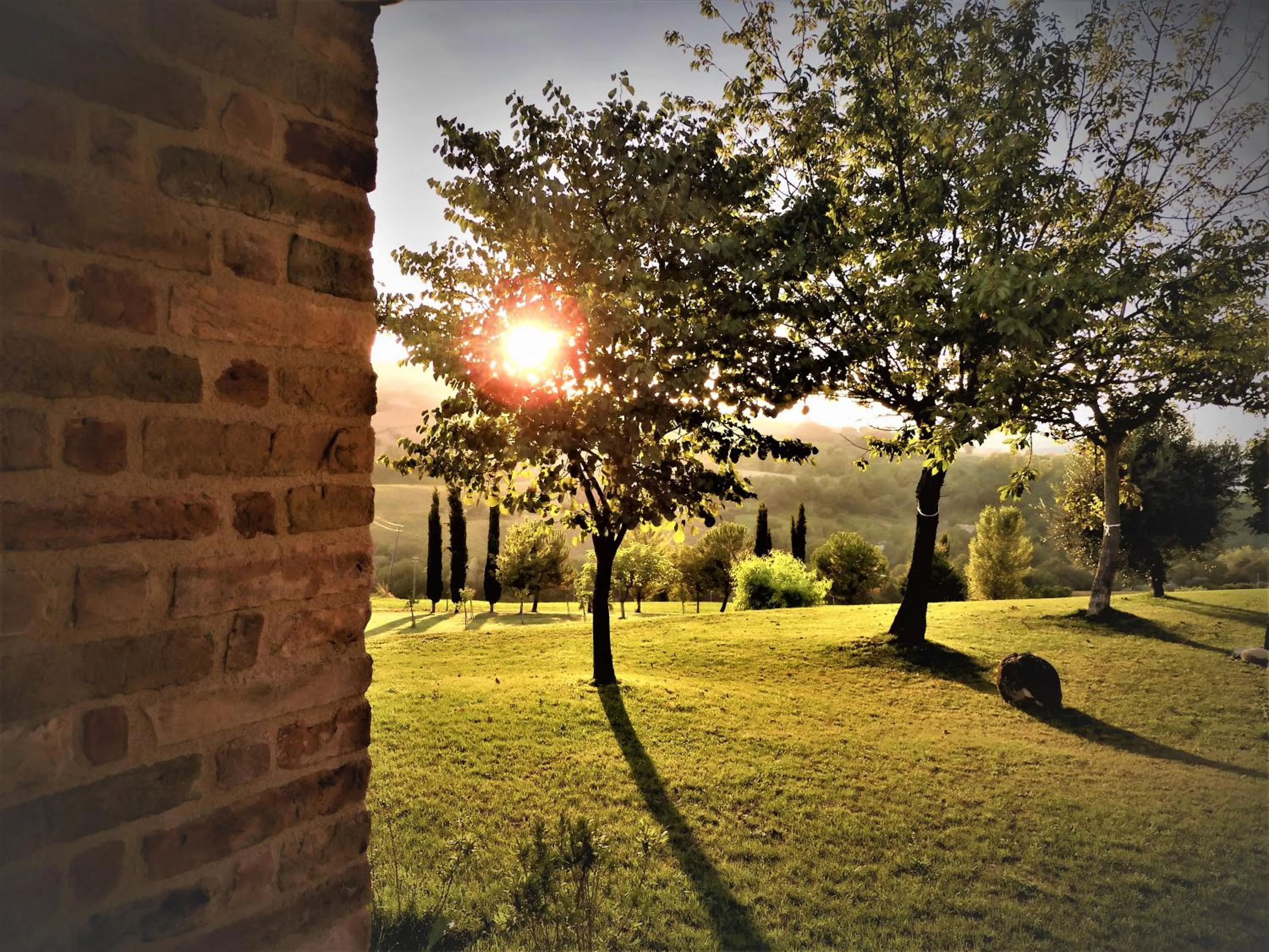 Garden in Quelli del Picchio