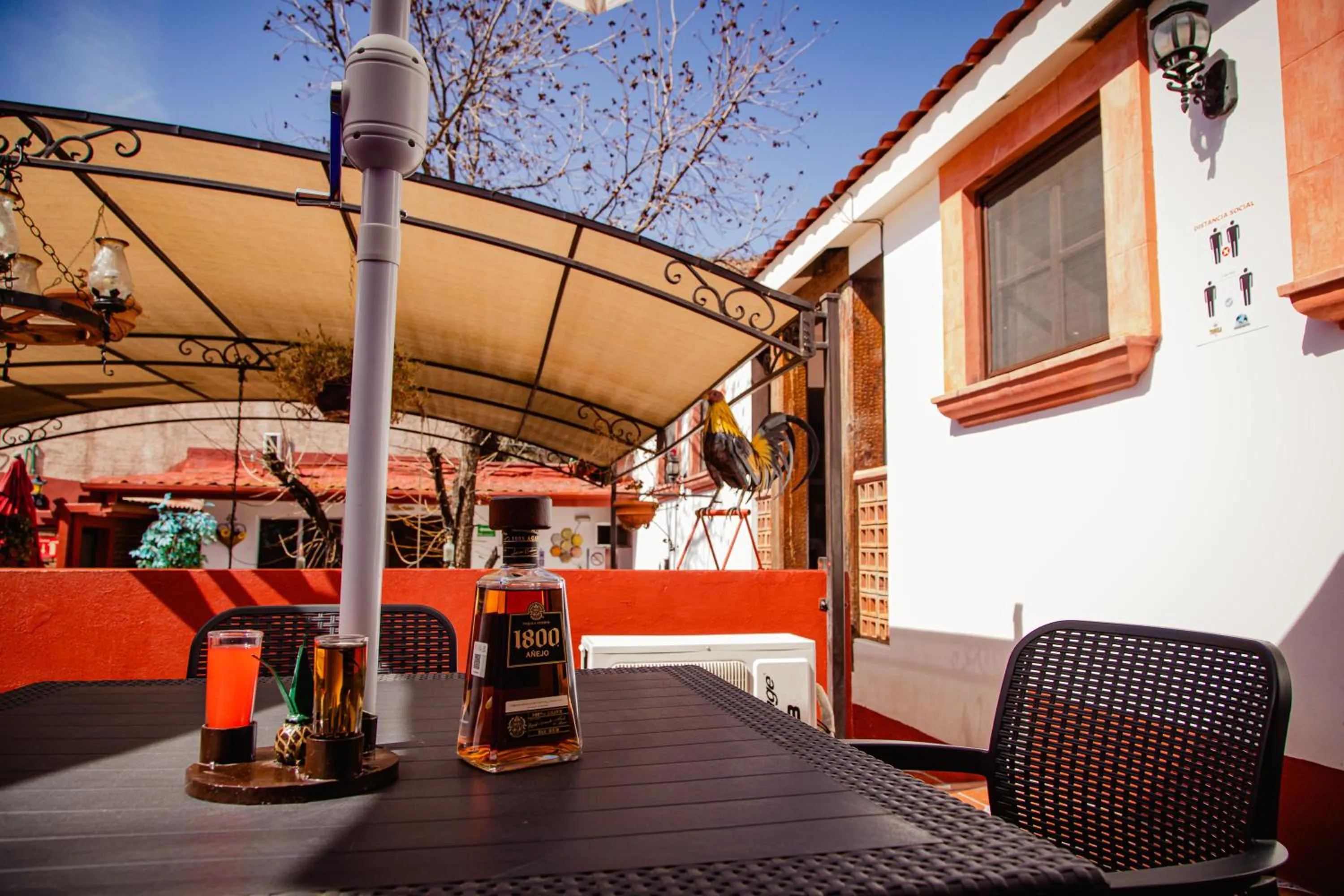 Patio in HOTEL BOUTIQUE EL VIEJO MUNDO