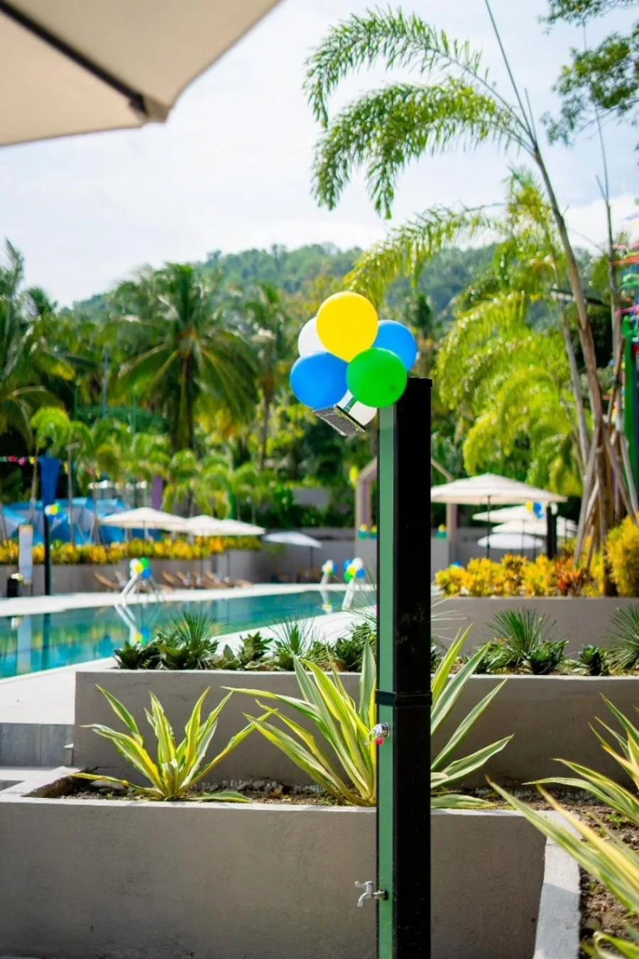 Swimming pool in Lanzones Cabana