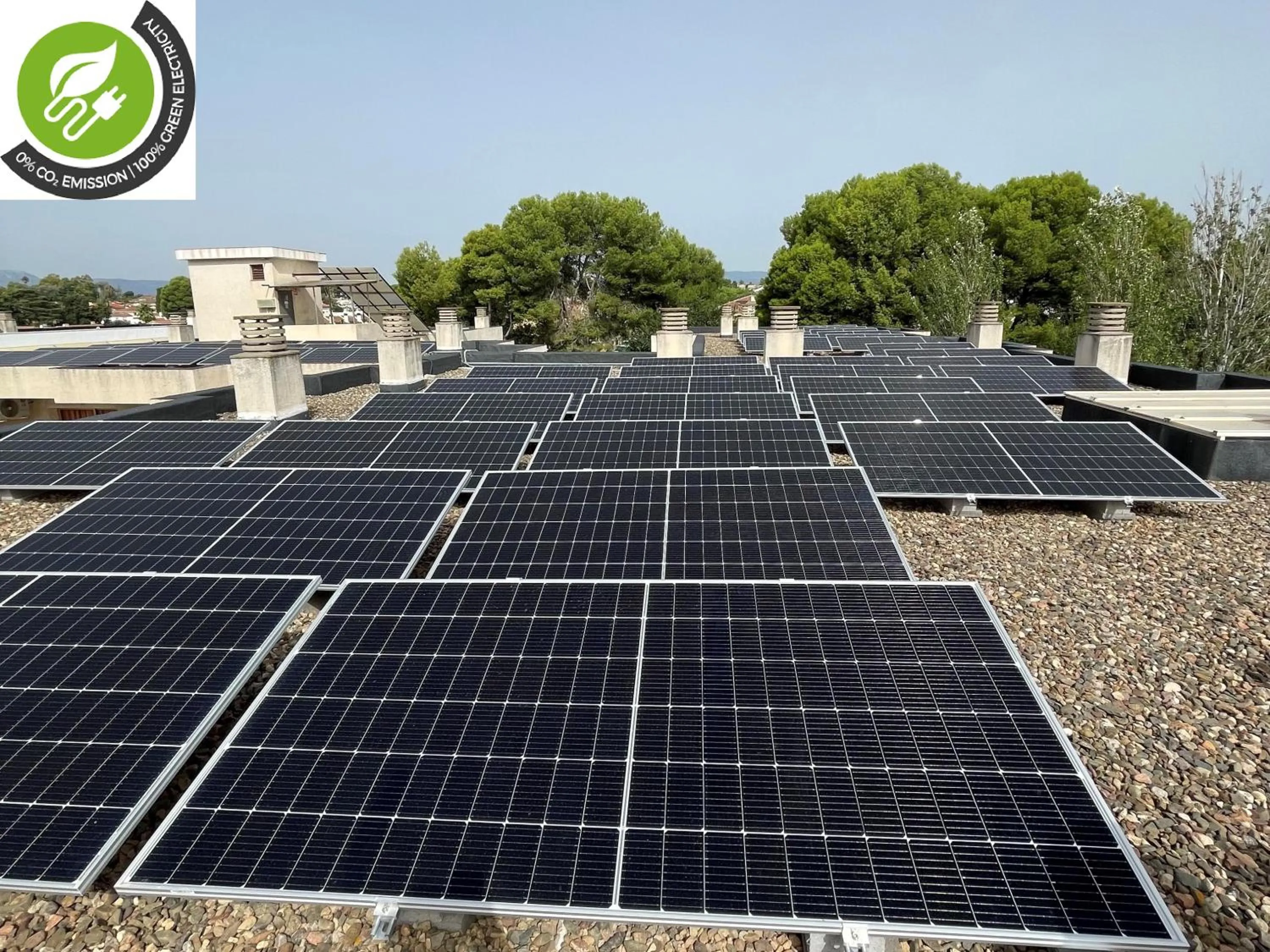 Logo/Certificate/Sign in Rentalmar Pins Marina