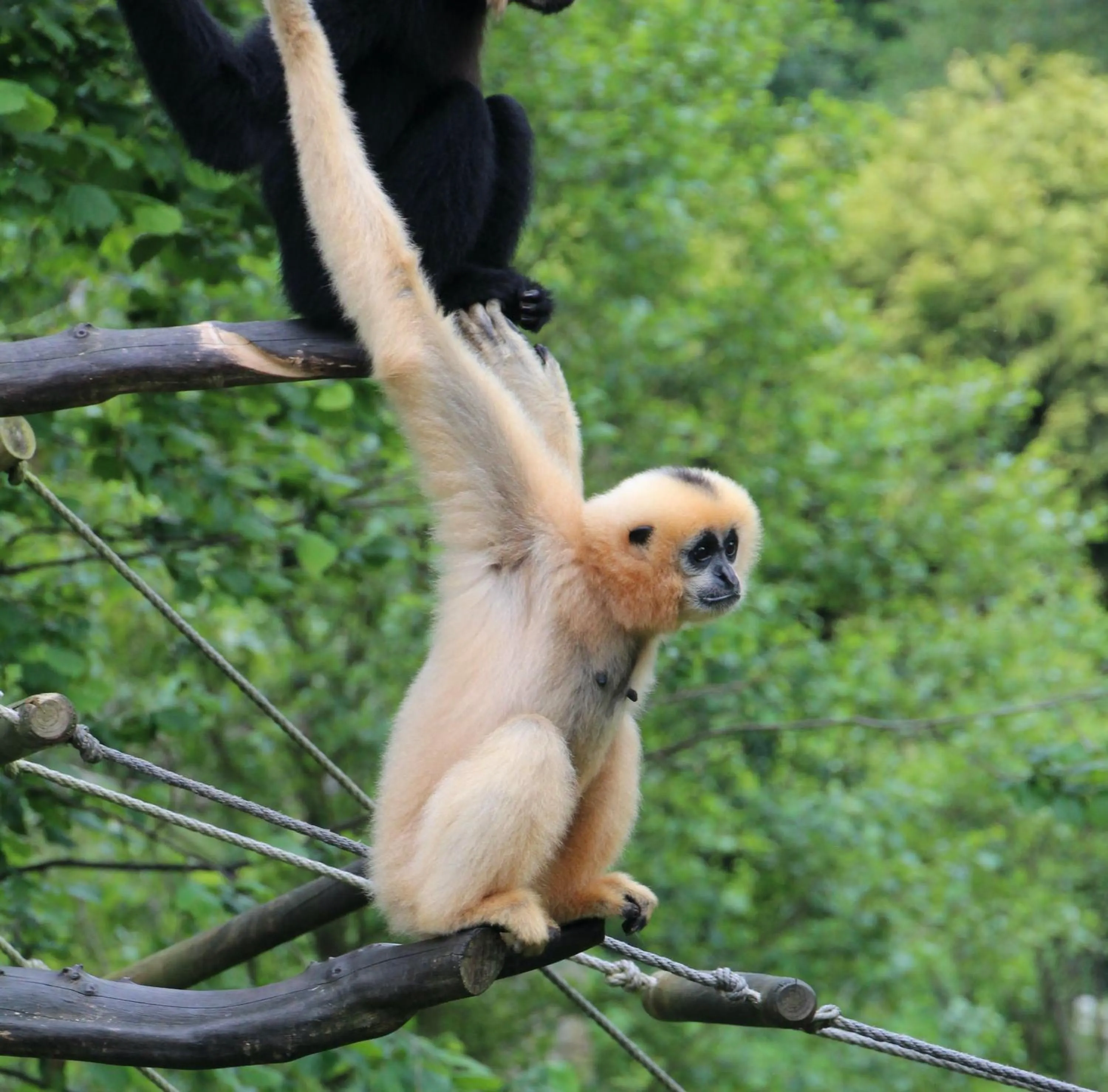 Nearby landmark in ibis budget Lisieux