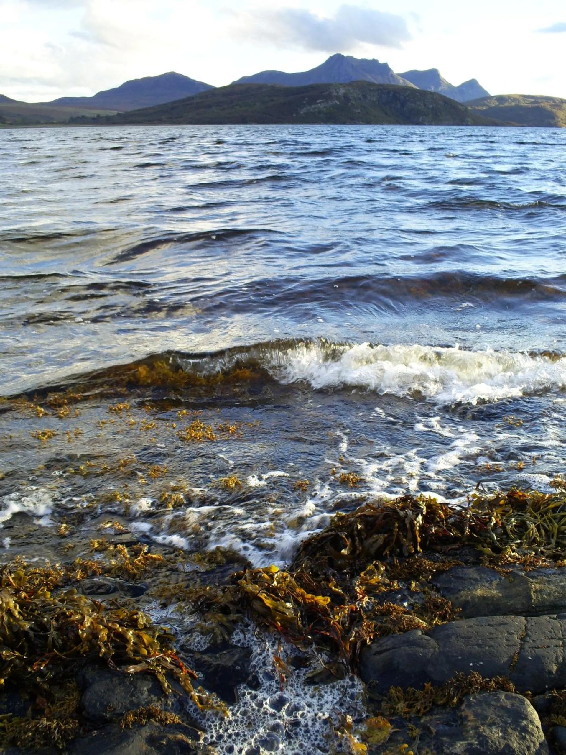 View (from property/room) in The Tongue Hotel, by Highland Coast Hotels