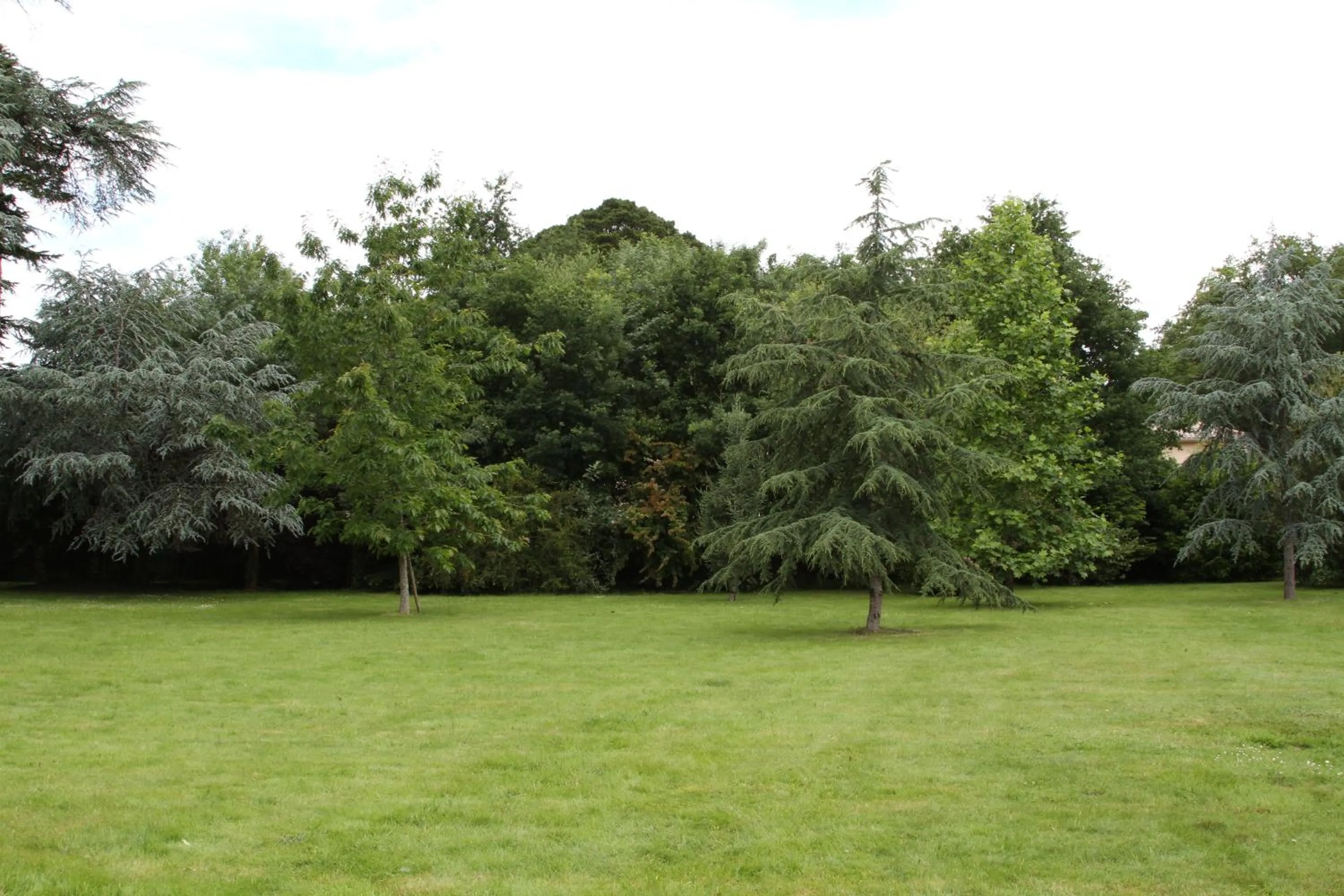 Garden in Château du Bois de La Noe