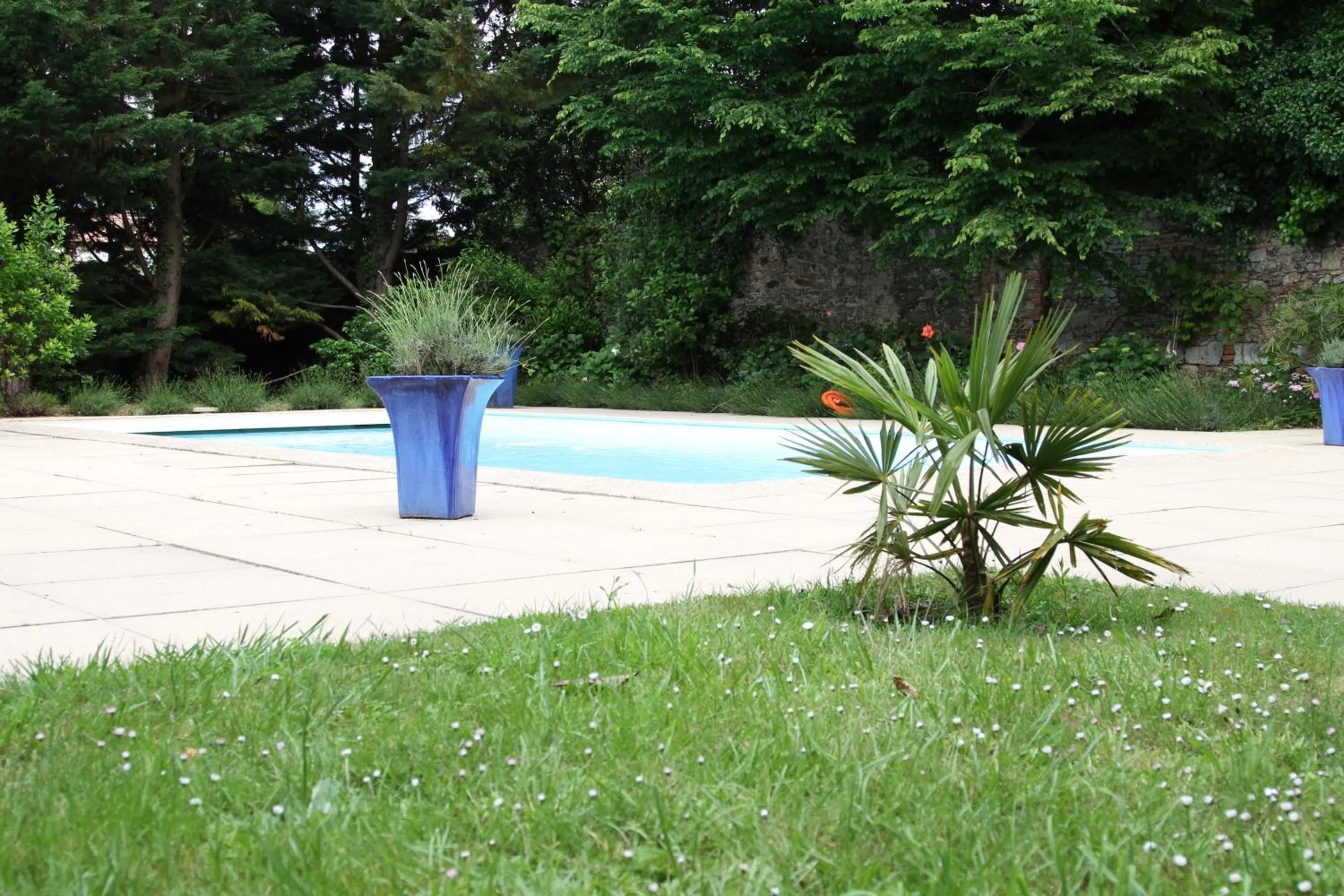 Swimming pool in Château du Bois de La Noe