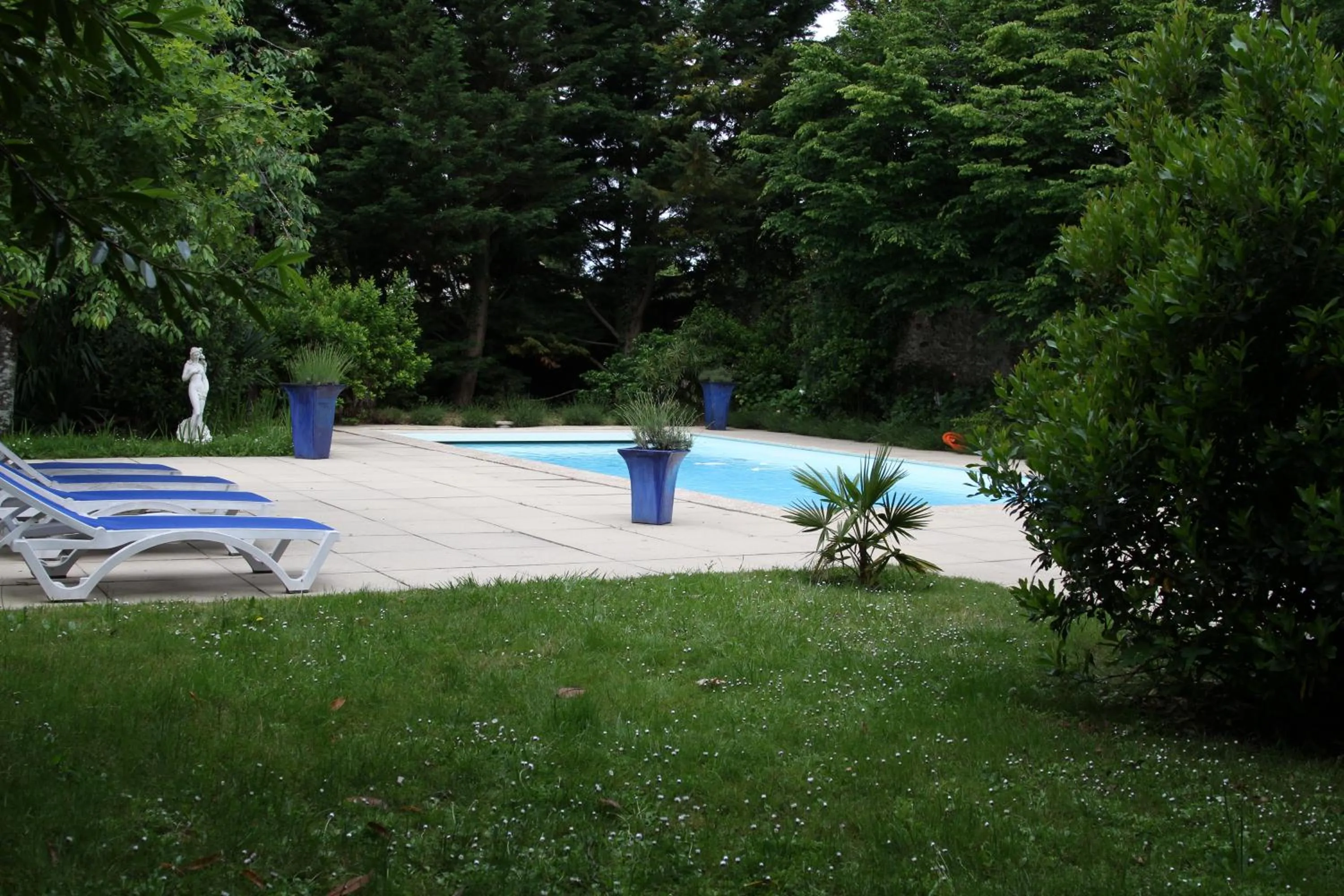 Swimming pool in Château du Bois de La Noe