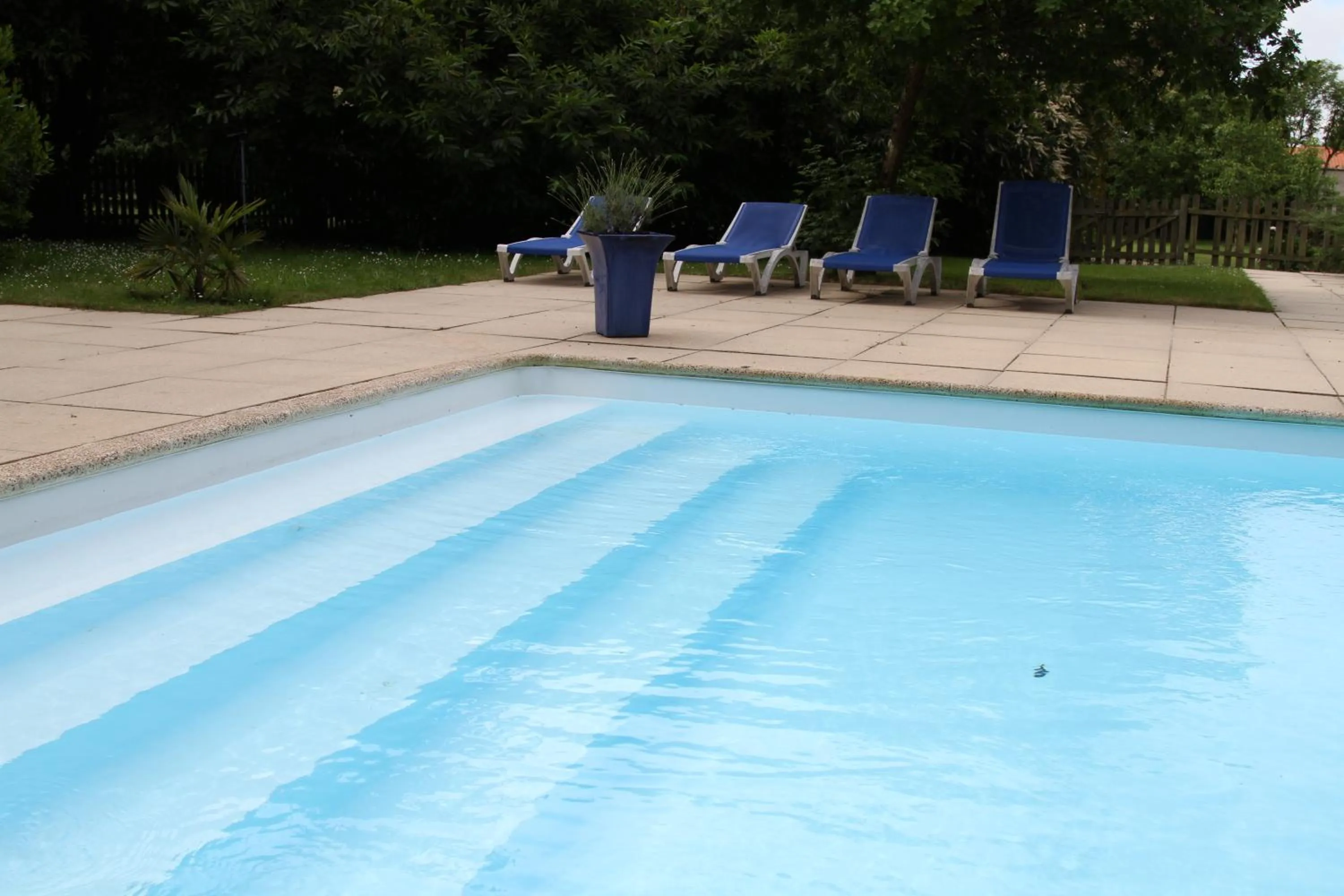 Swimming pool in Château du Bois de La Noe
