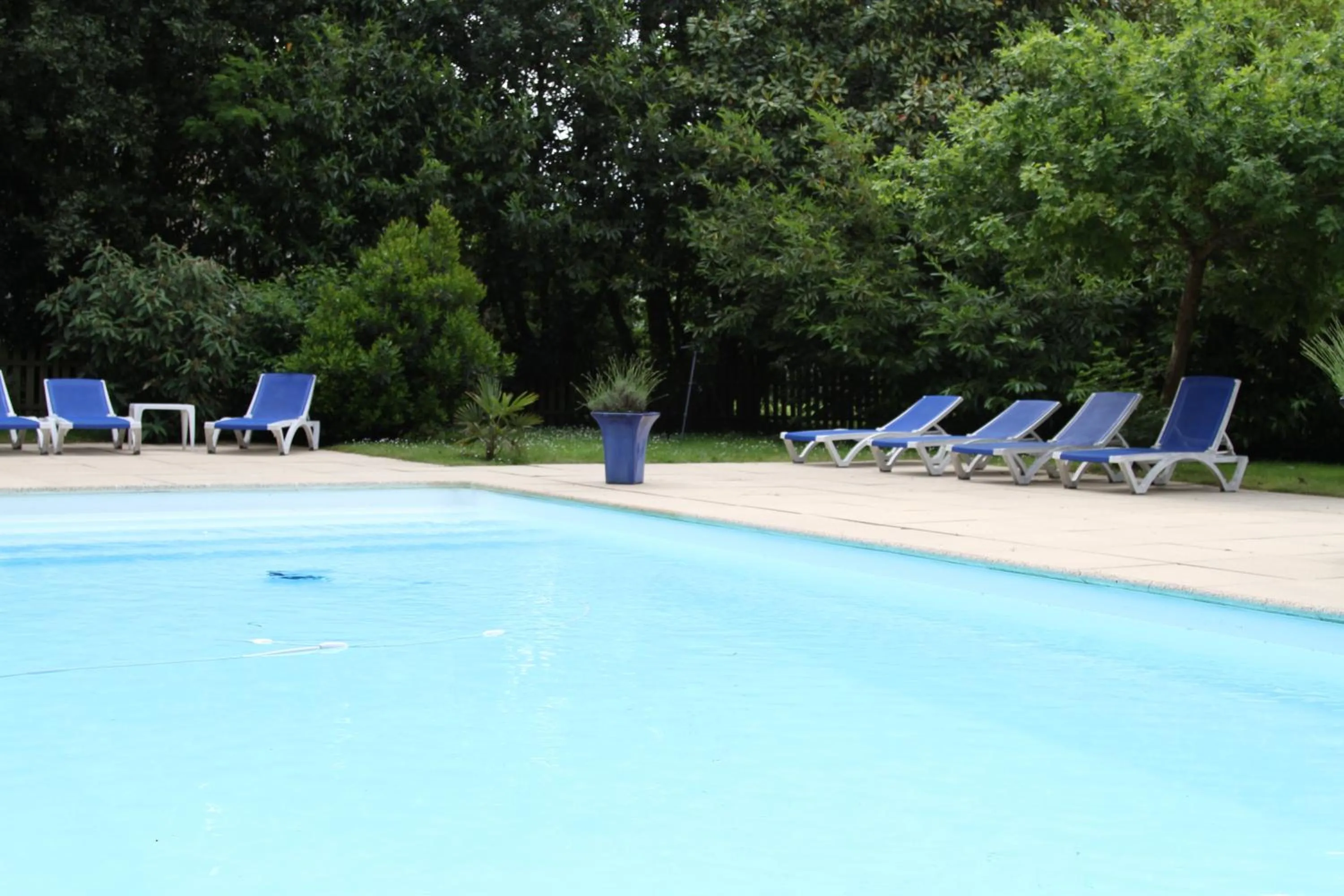 Swimming pool in Château du Bois de La Noe