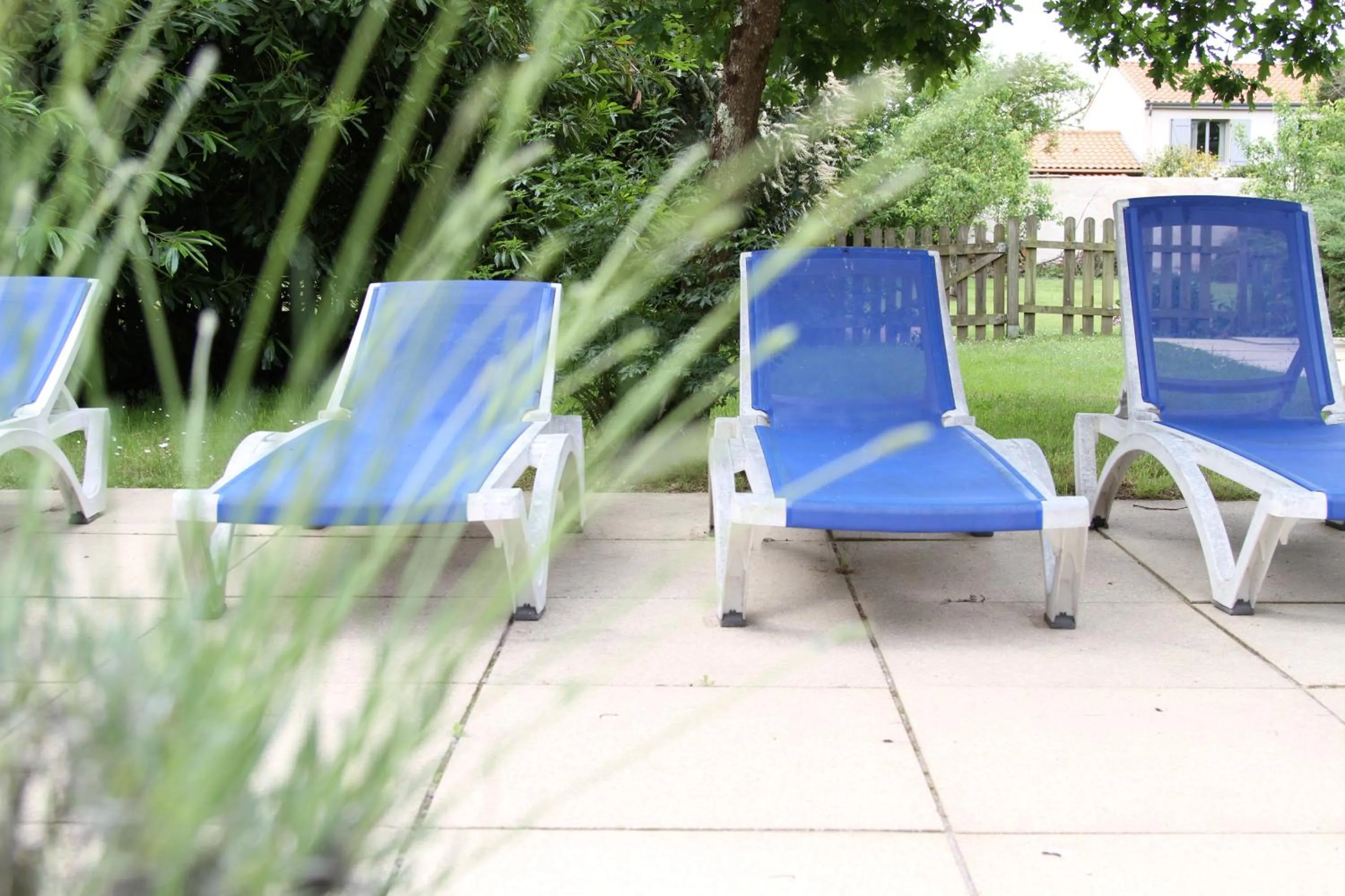 Swimming pool in Château du Bois de La Noe