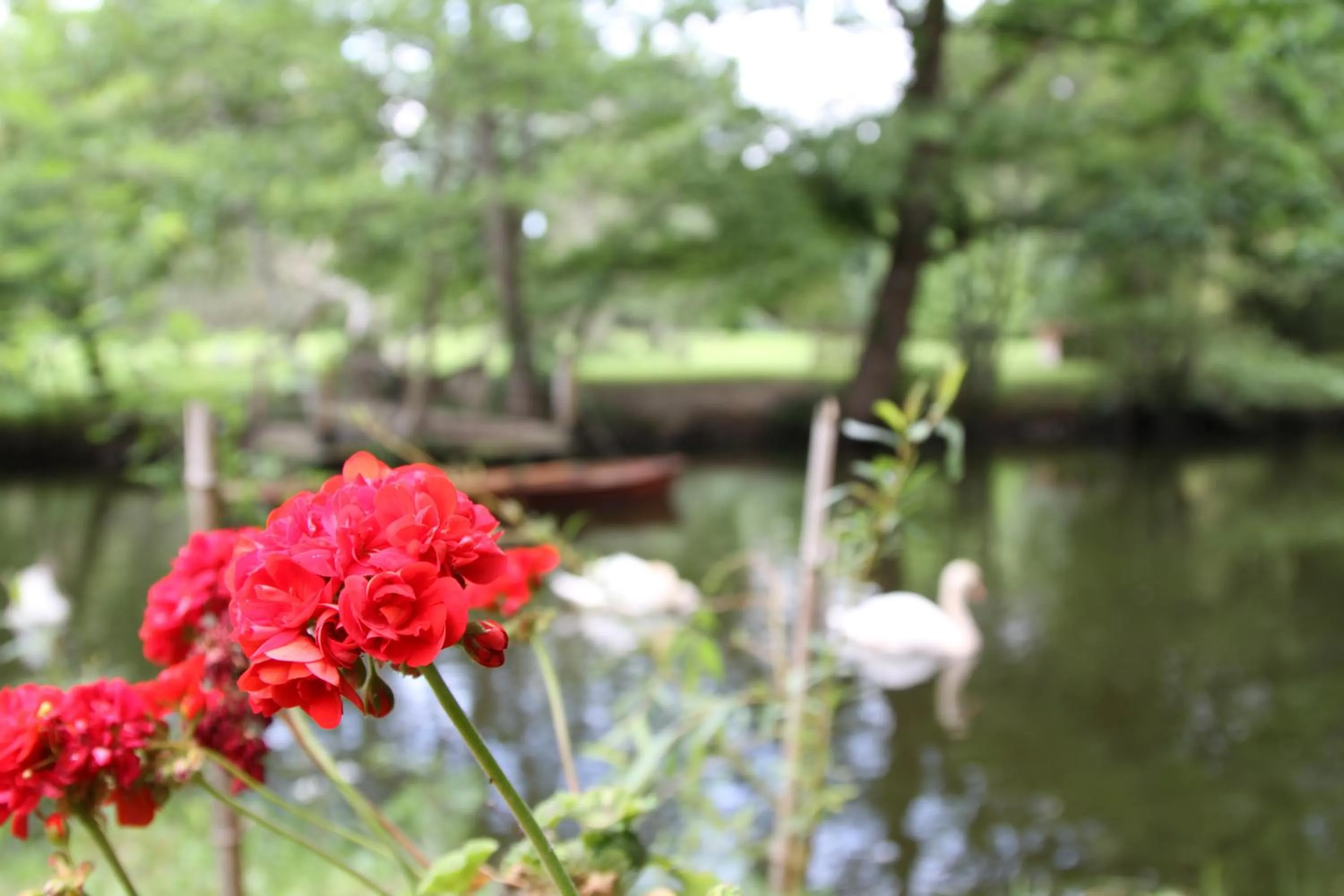 Garden in Château du Bois de La Noe