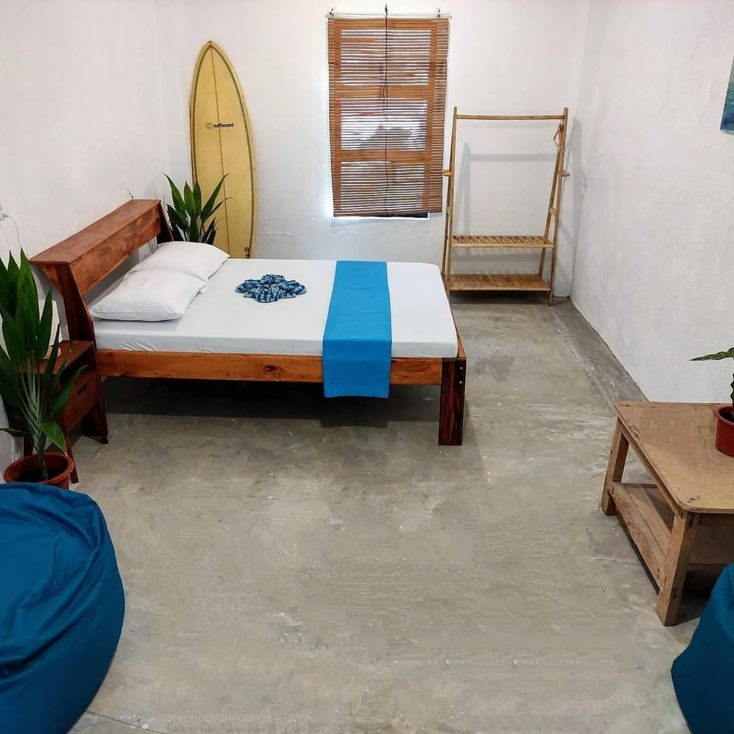 Bed in Sunlit Hostel