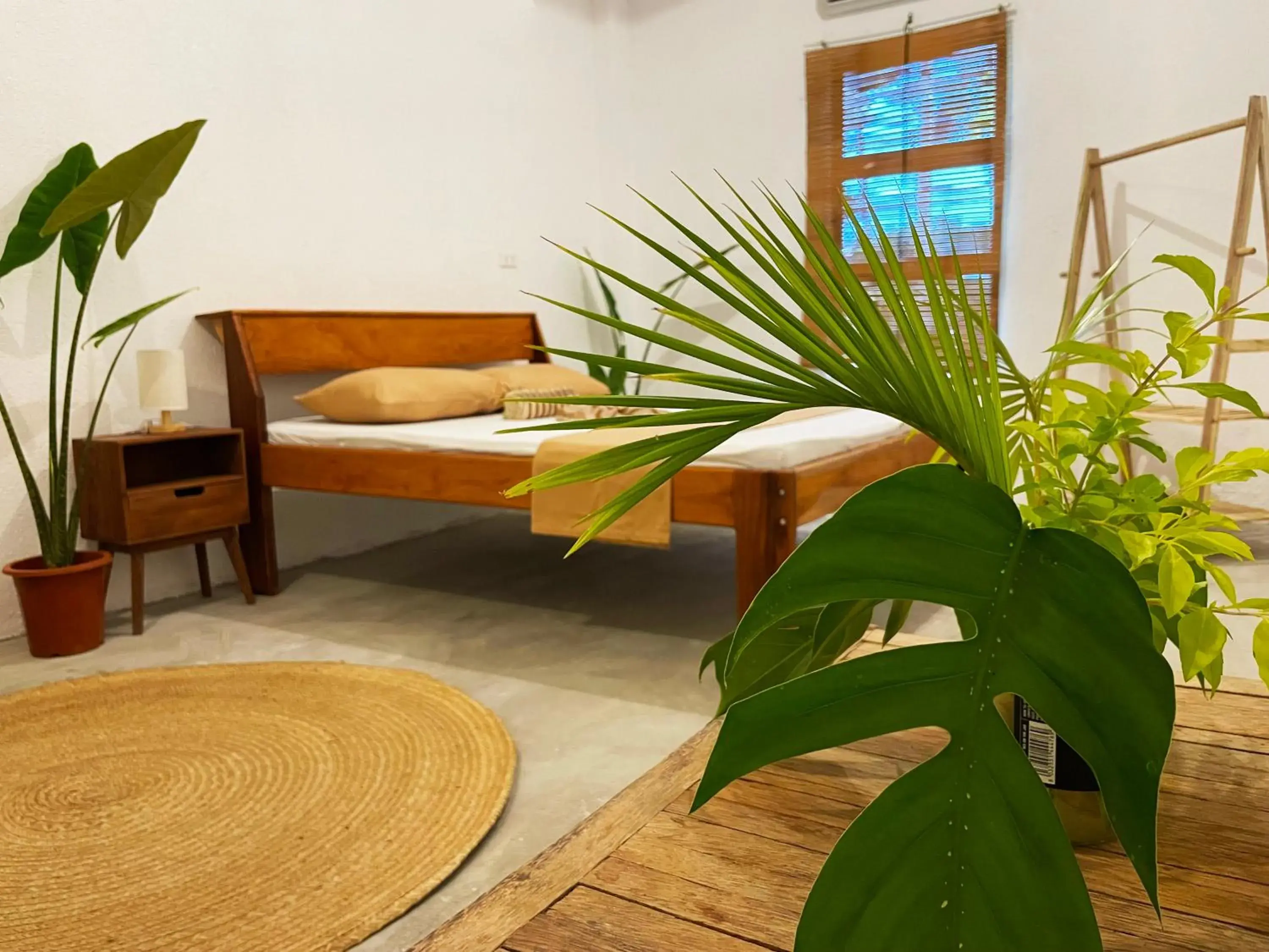 Queen Room with Shared Bathroom in Sunlit Hostel Queen Room with Shared Bathroom in Sunlit Hostel