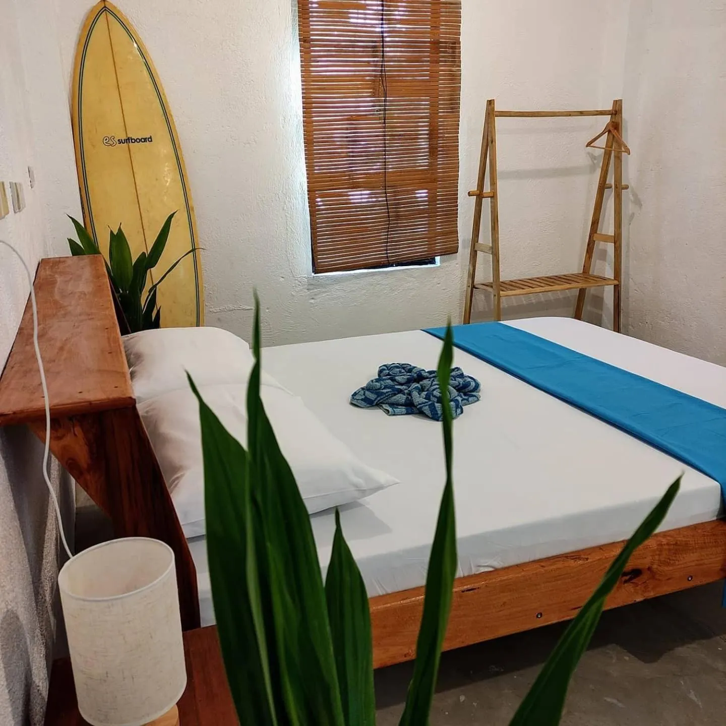 Bed in Sunlit Hostel