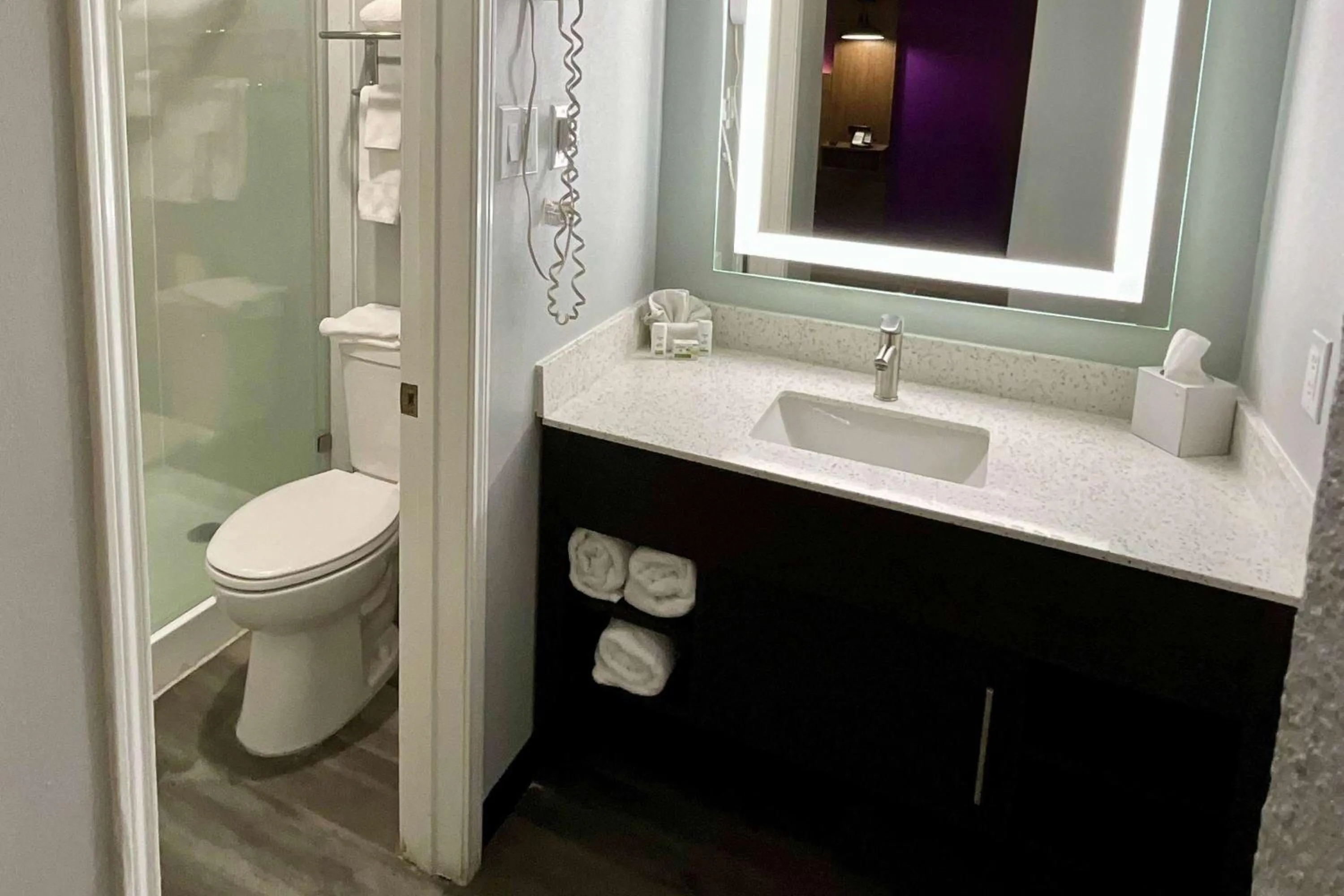 Bathroom in La Quinta Inn by Wyndham Amarillo Mid-City