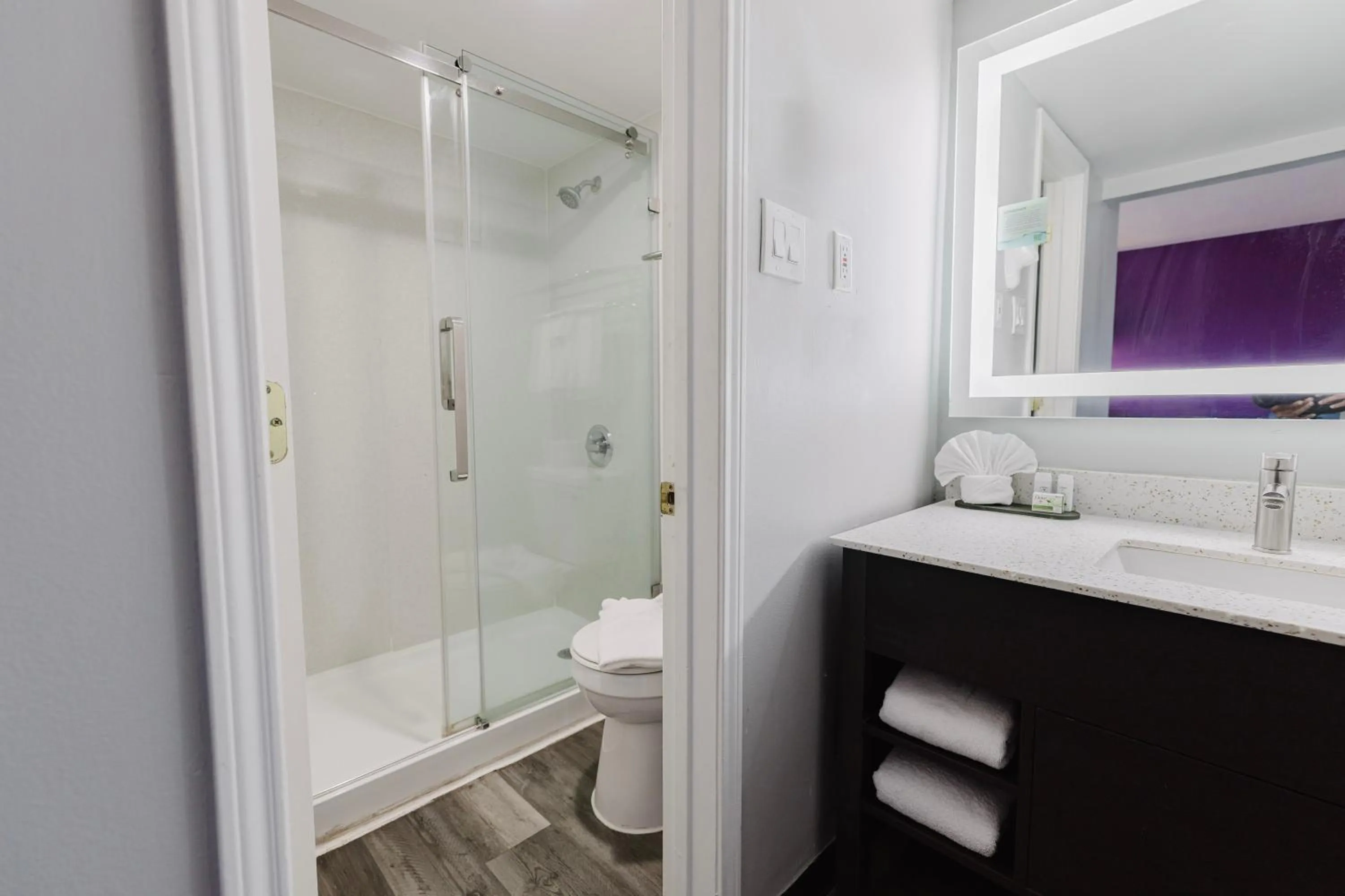 Toilet in La Quinta Inn by Wyndham Amarillo Mid-City