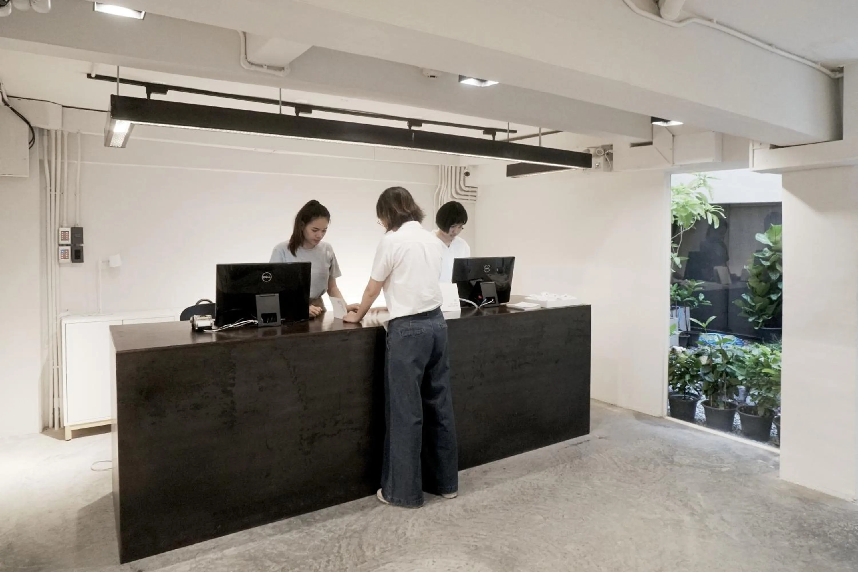 Lobby or reception in Chocolate box mint