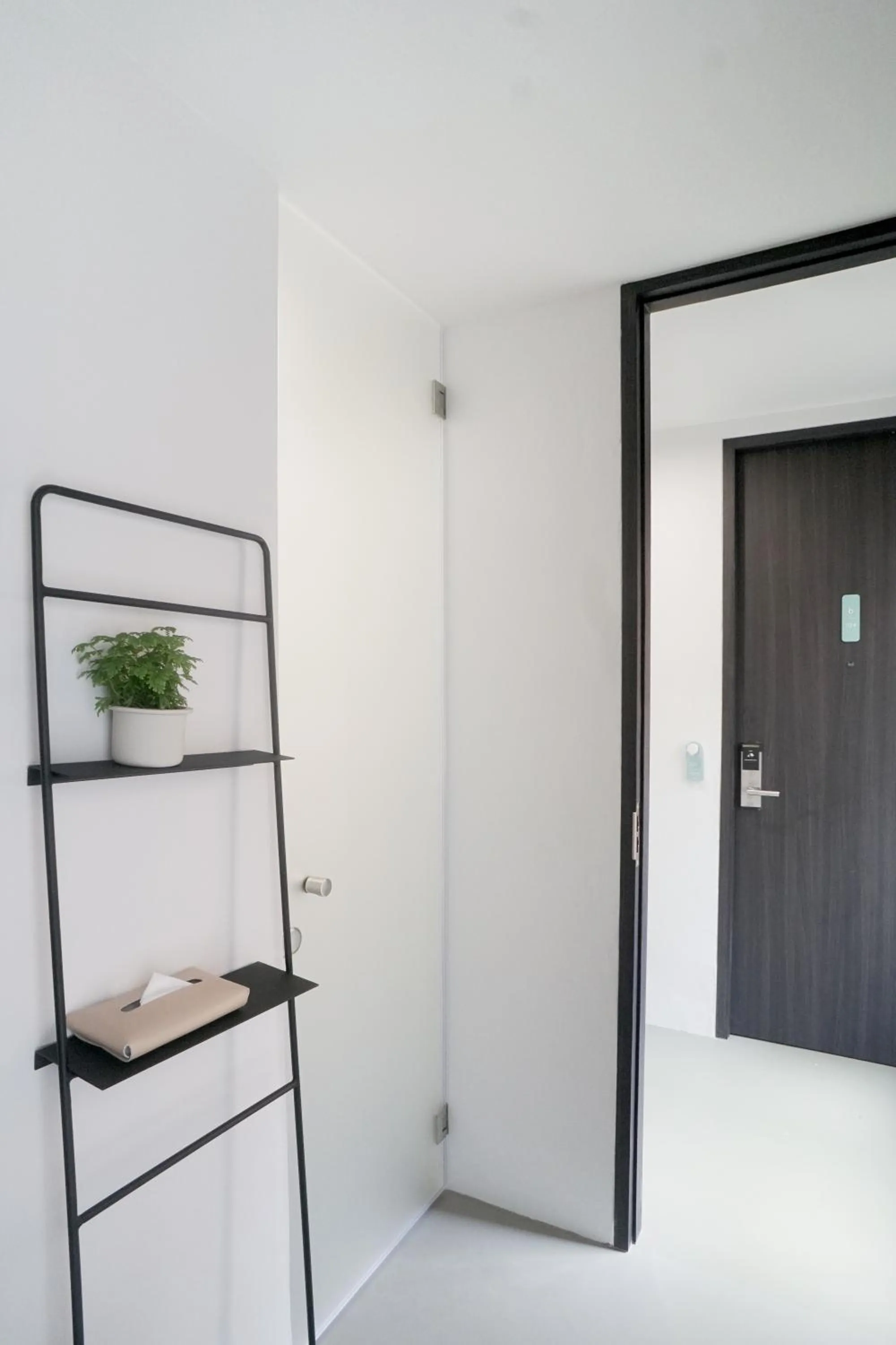 Area and facilities in Chocolate box mint