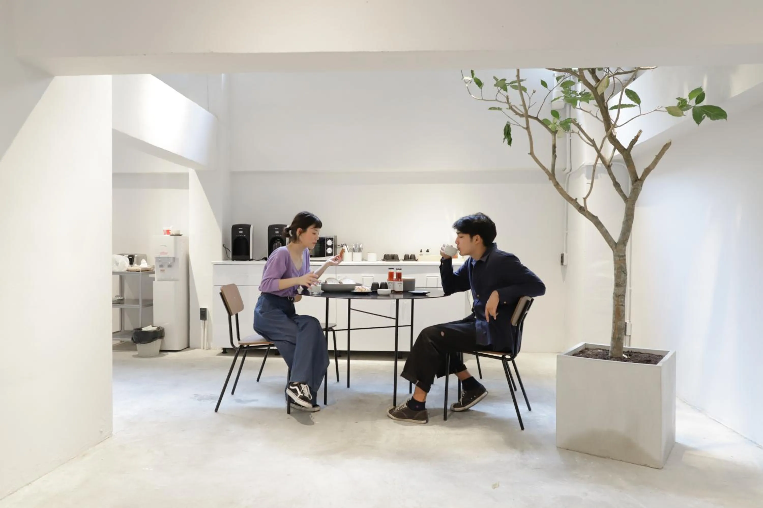 Area and facilities in Chocolate box mint