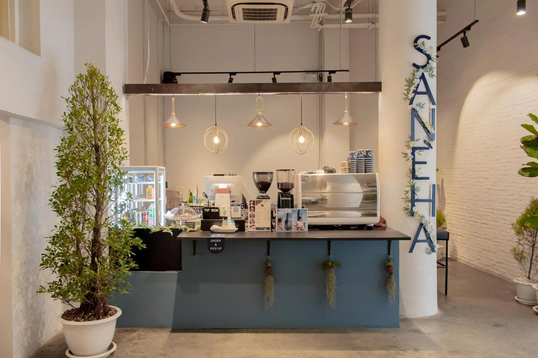 Area and facilities in Chocolate box mint