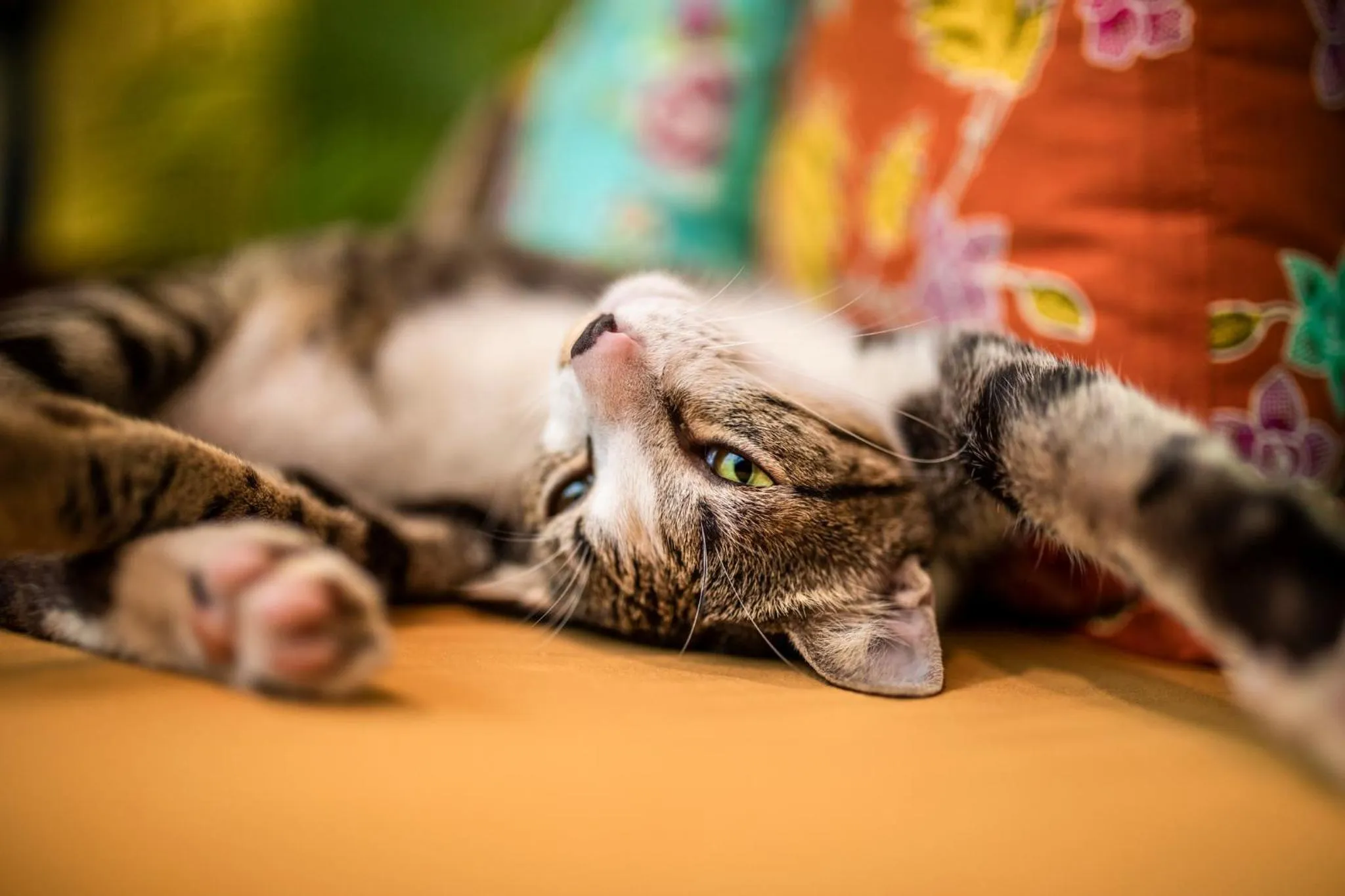 Lounge or bar in Hotel Old Cinema