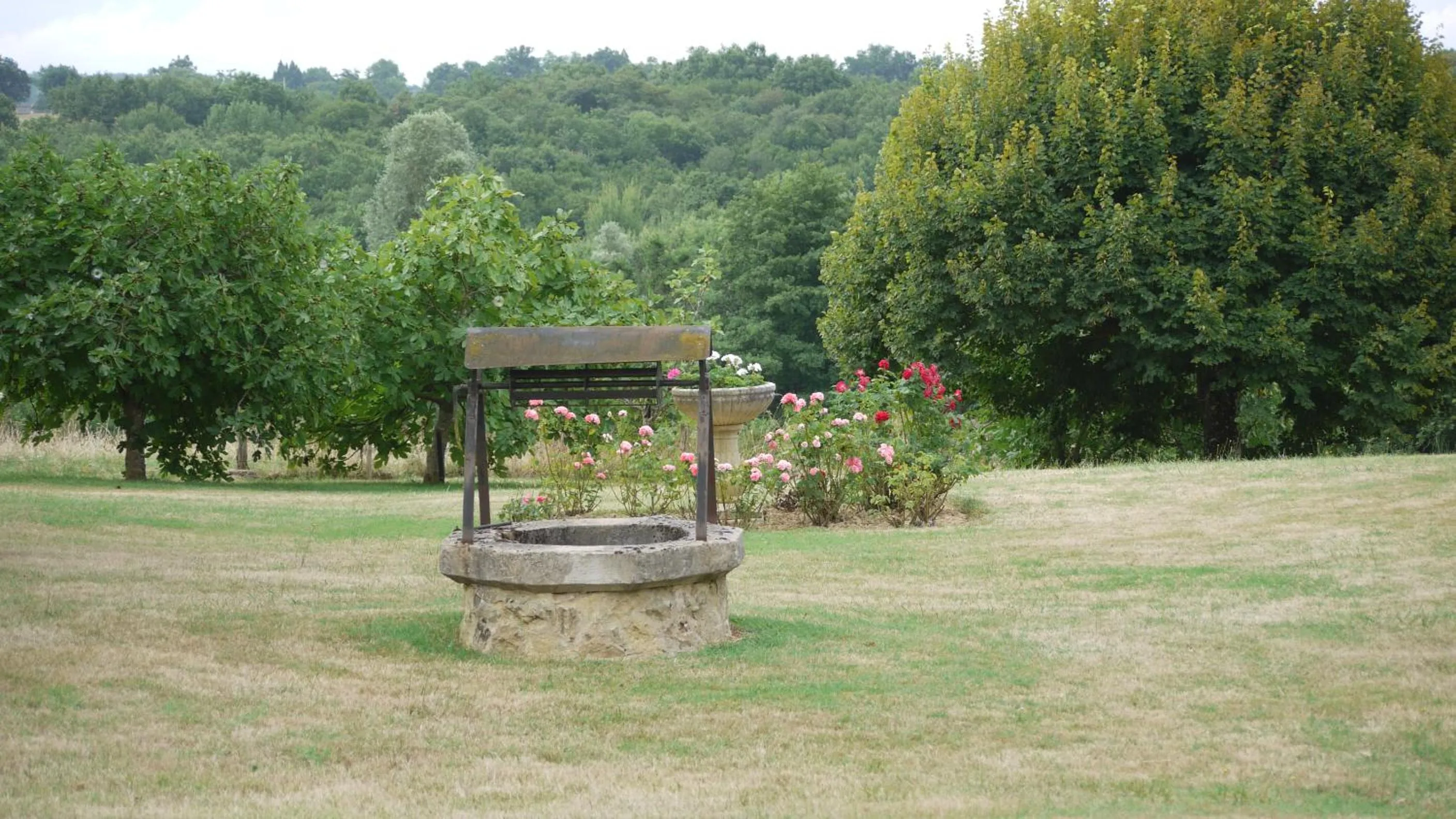 Off site in Domaine Sainte Barthe, entre Marciac et Nogaro