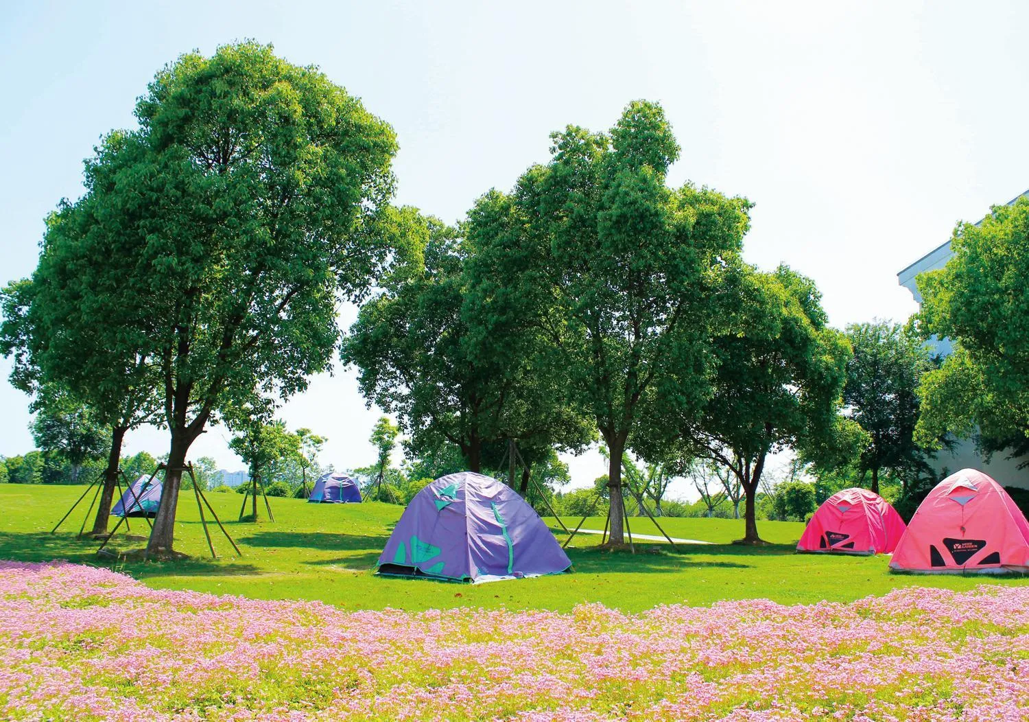 Children play ground in Radisson Blu Resort Wetland Park