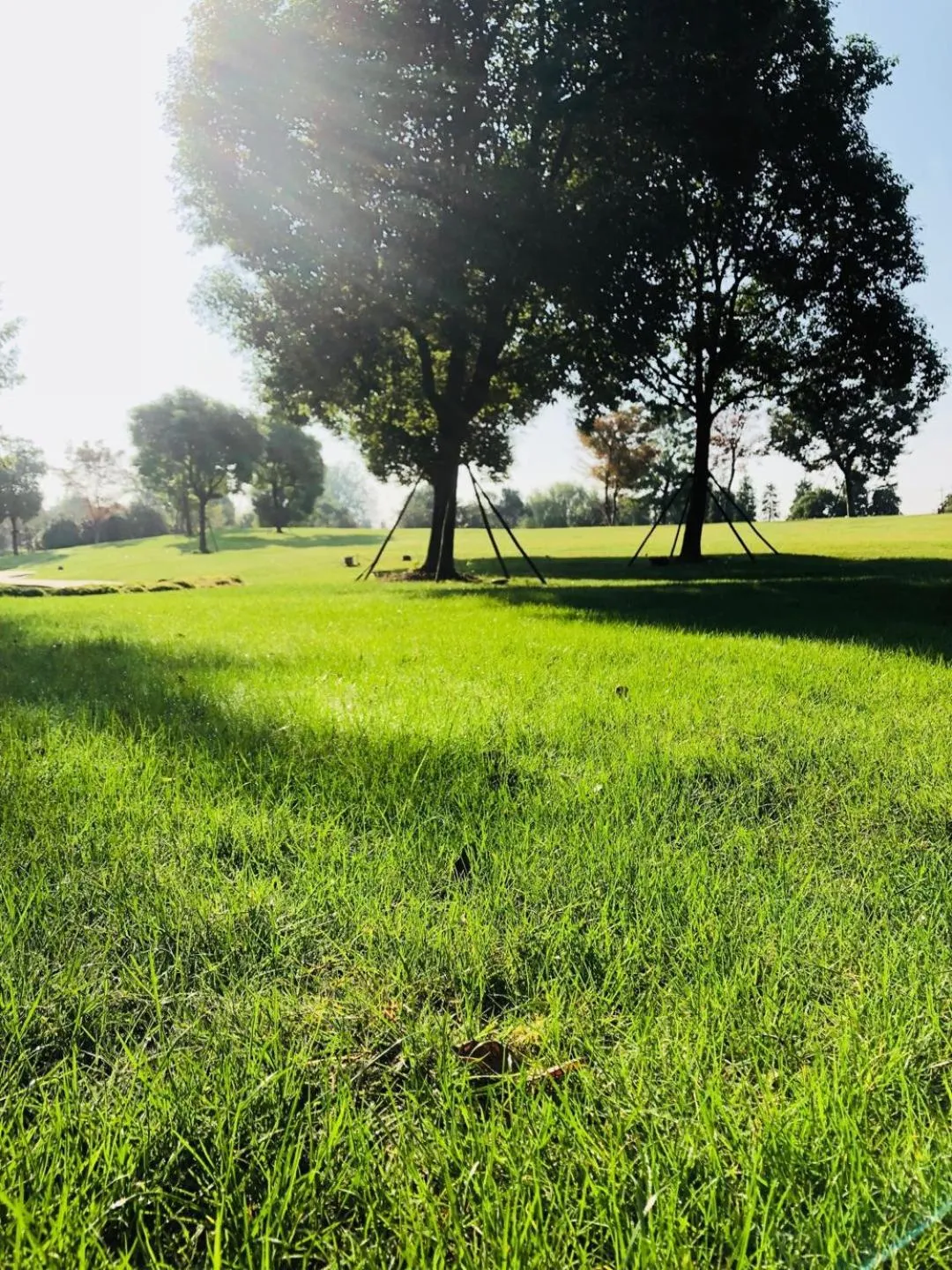 Garden in Radisson Blu Resort Wetland Park