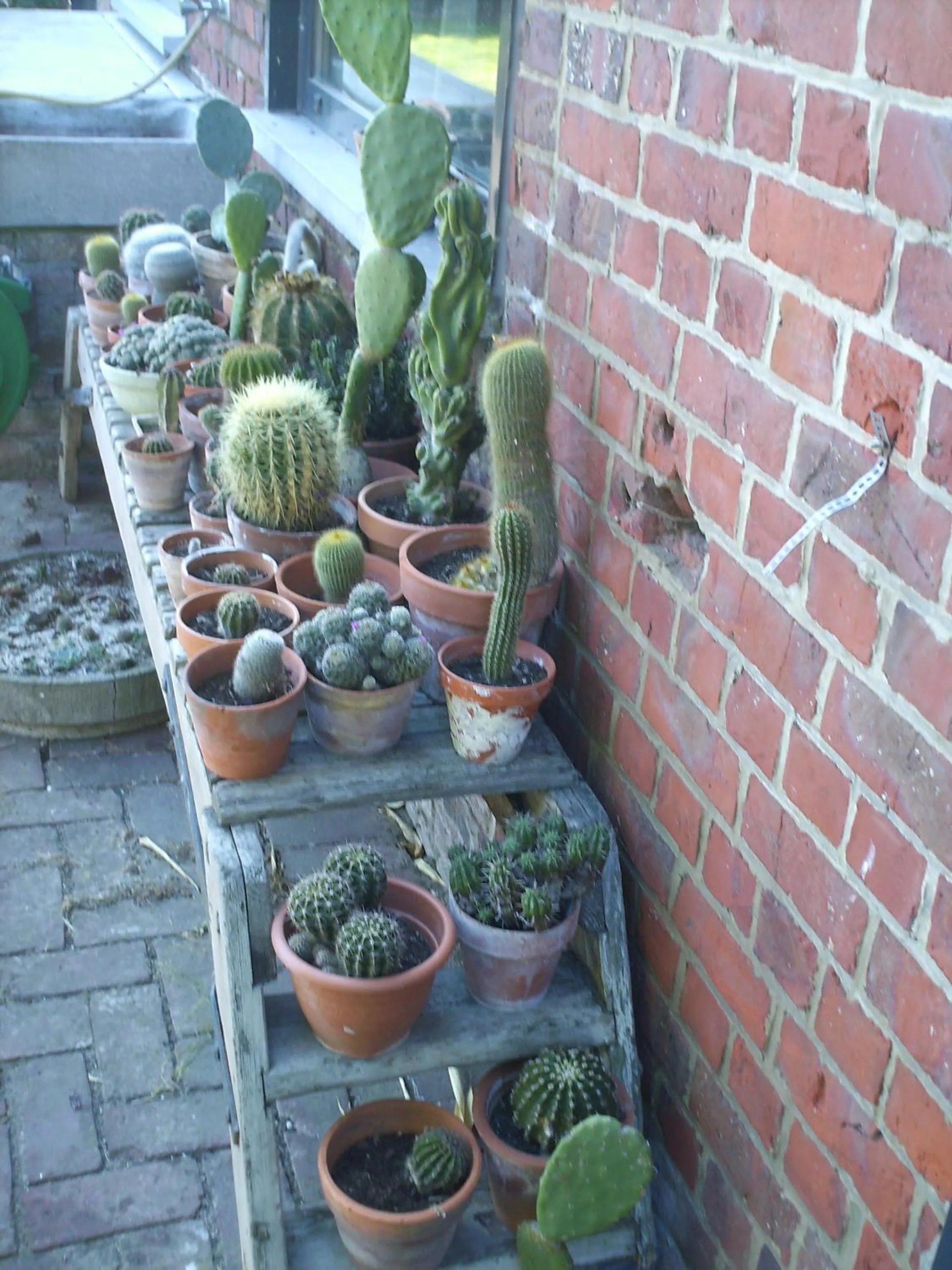 Garden in B&B De Vlaschaerd