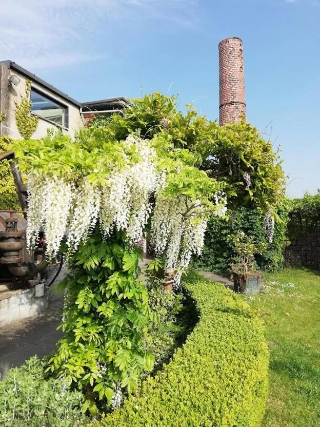 Garden in B&B De Vlaschaerd