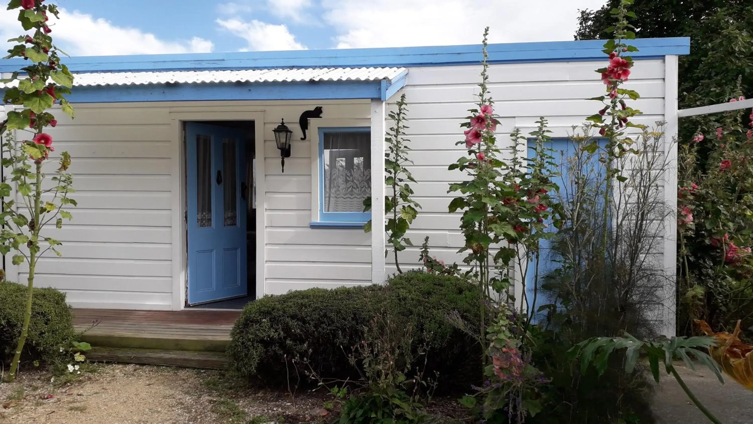 Studio with Terrace - single occupancy in Western House B&B Kurow Studio with Terrace - single occupancy in Western House B&B Kurow