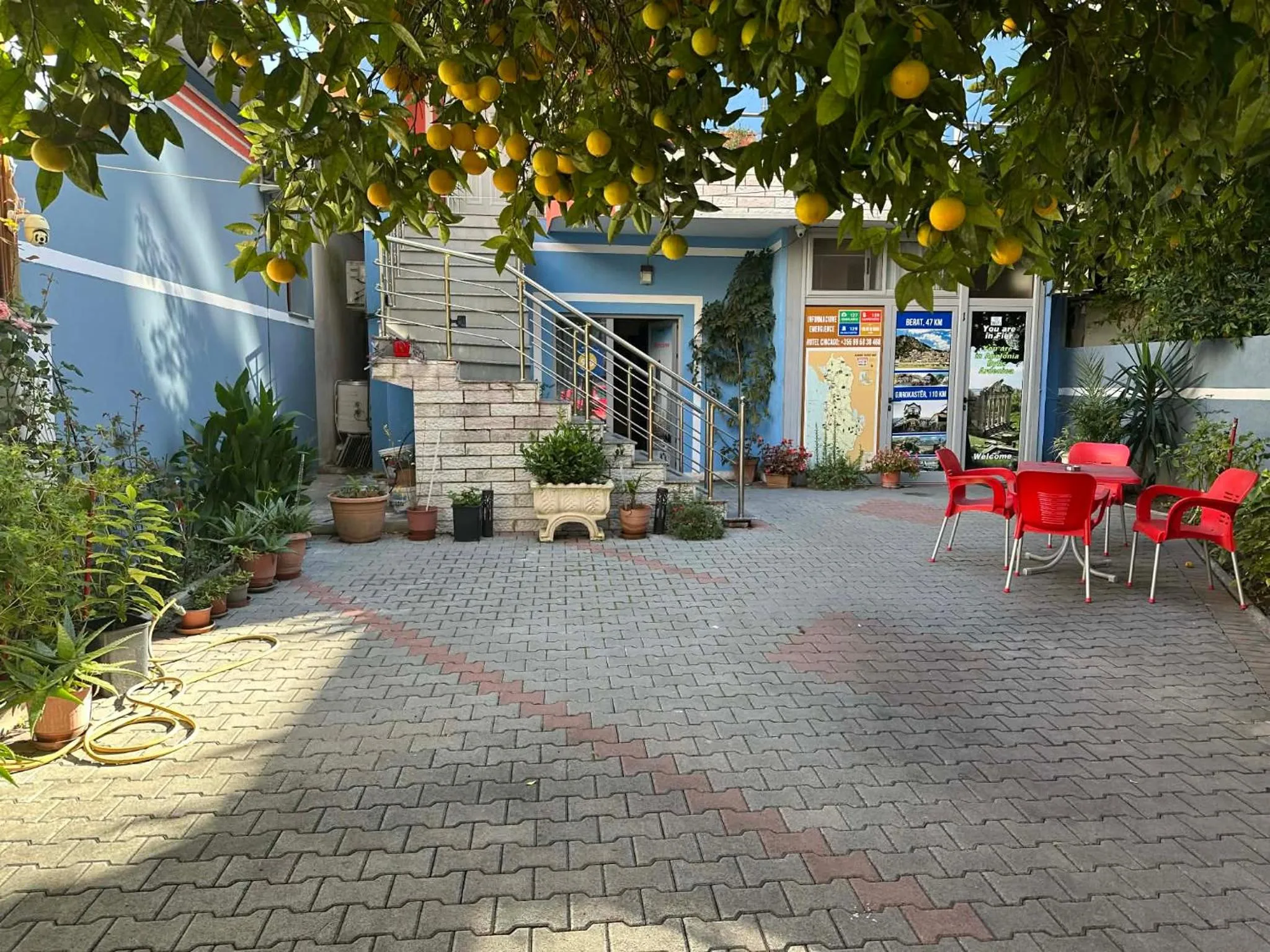 Garden in Chicago hotel