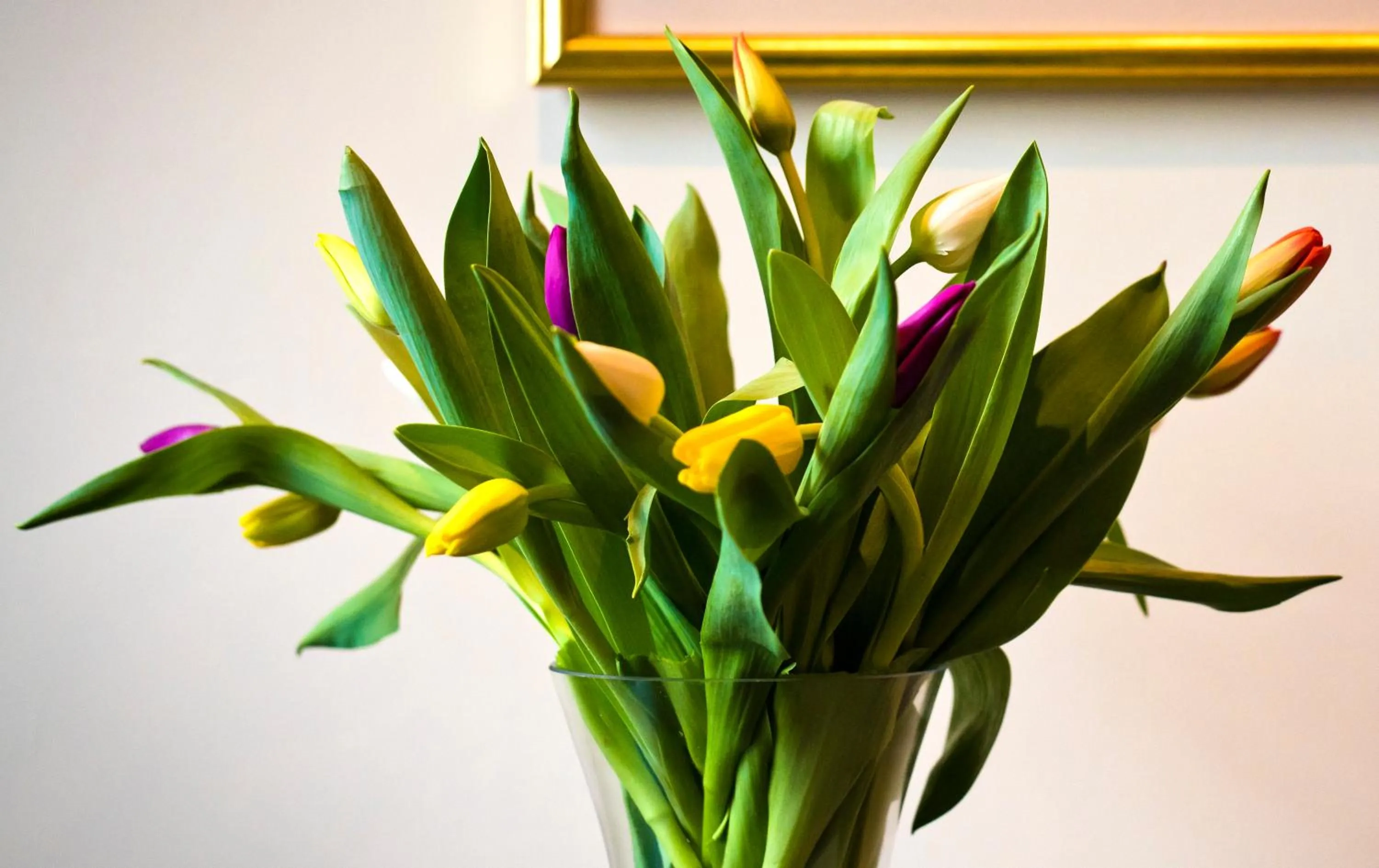 Bedroom in Bowling Green