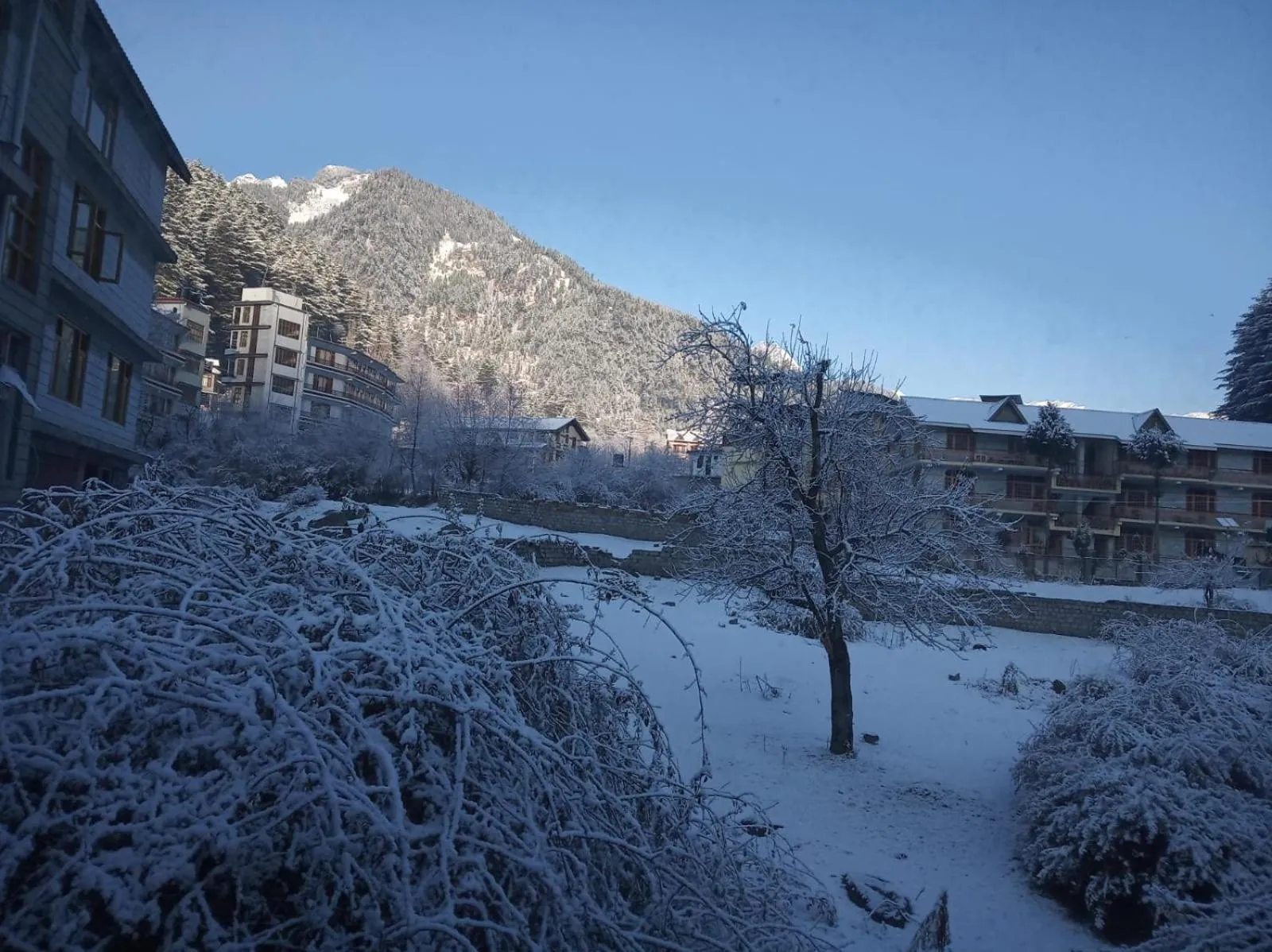 Natural landscape in Tourist Hotel 10 minutes walking distance from the mall