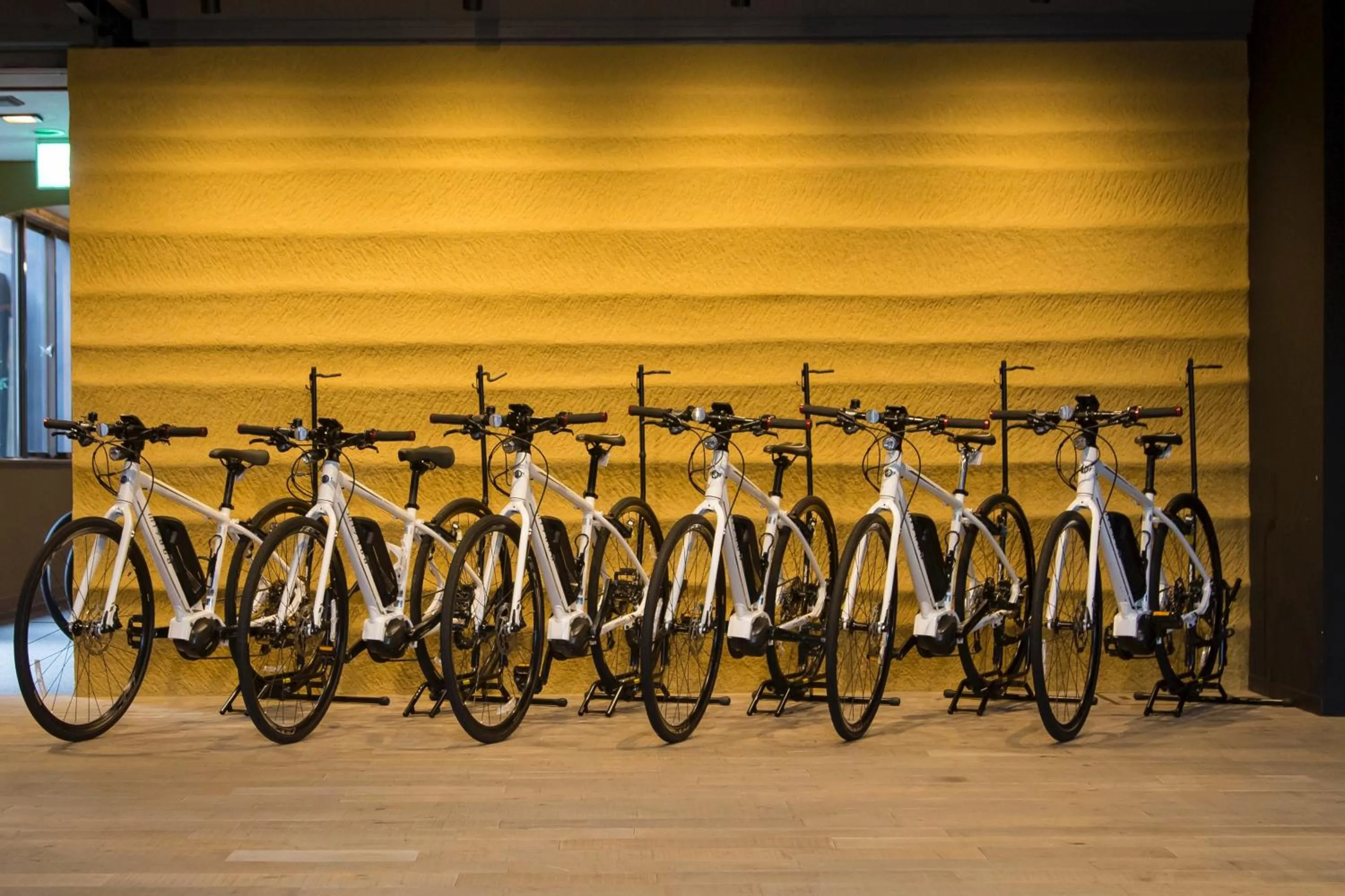 Cycling in Kona Stay Bicycle Resort