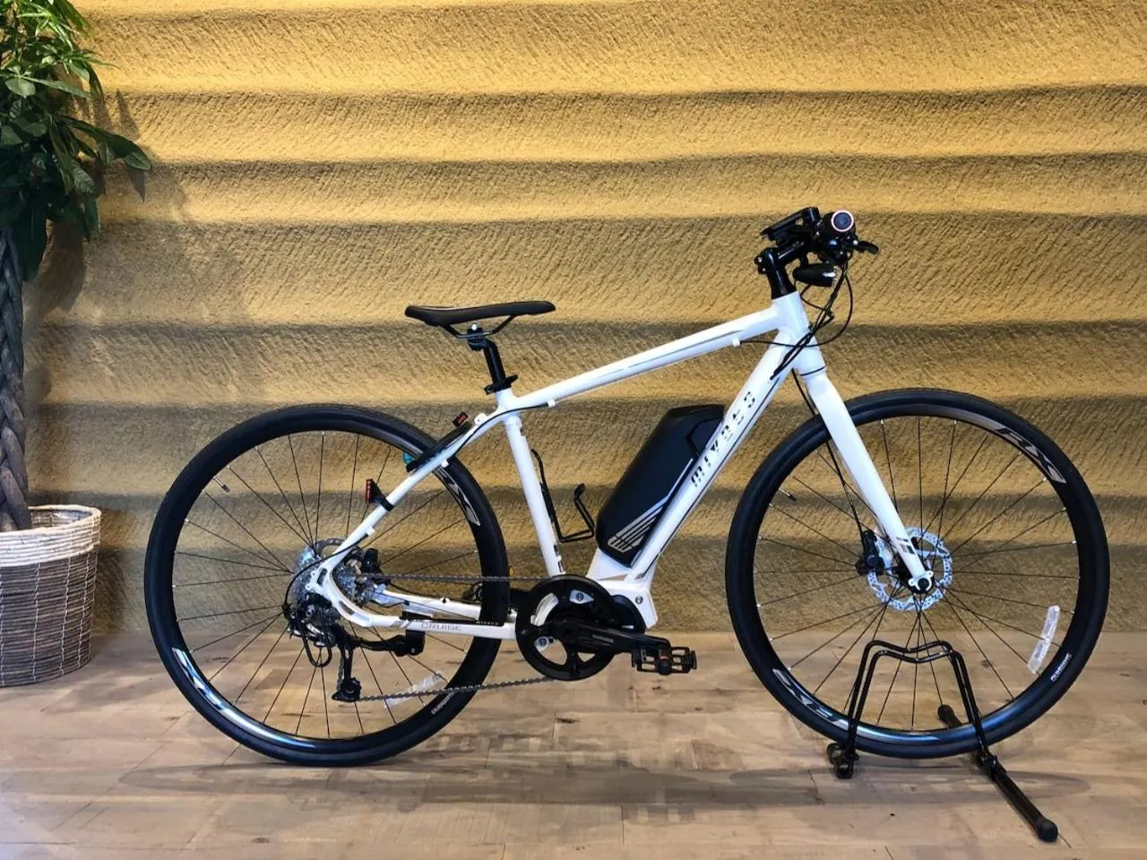 Cycling in Kona Stay Bicycle Resort