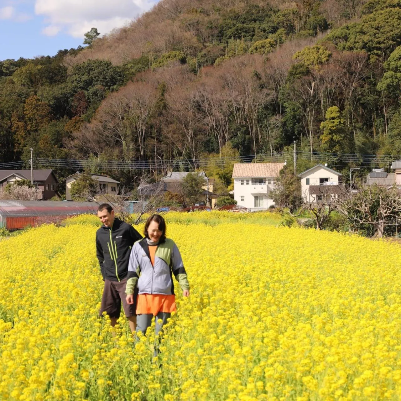 Activities in Kona Stay Bicycle Resort