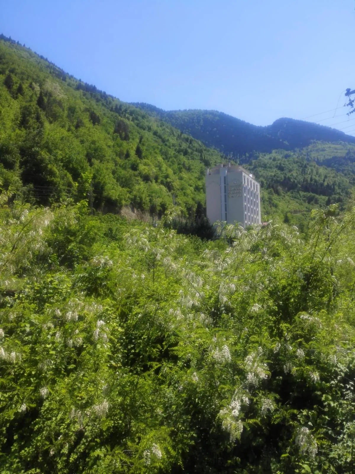 View (from property/room) in Jolnar garden hotel