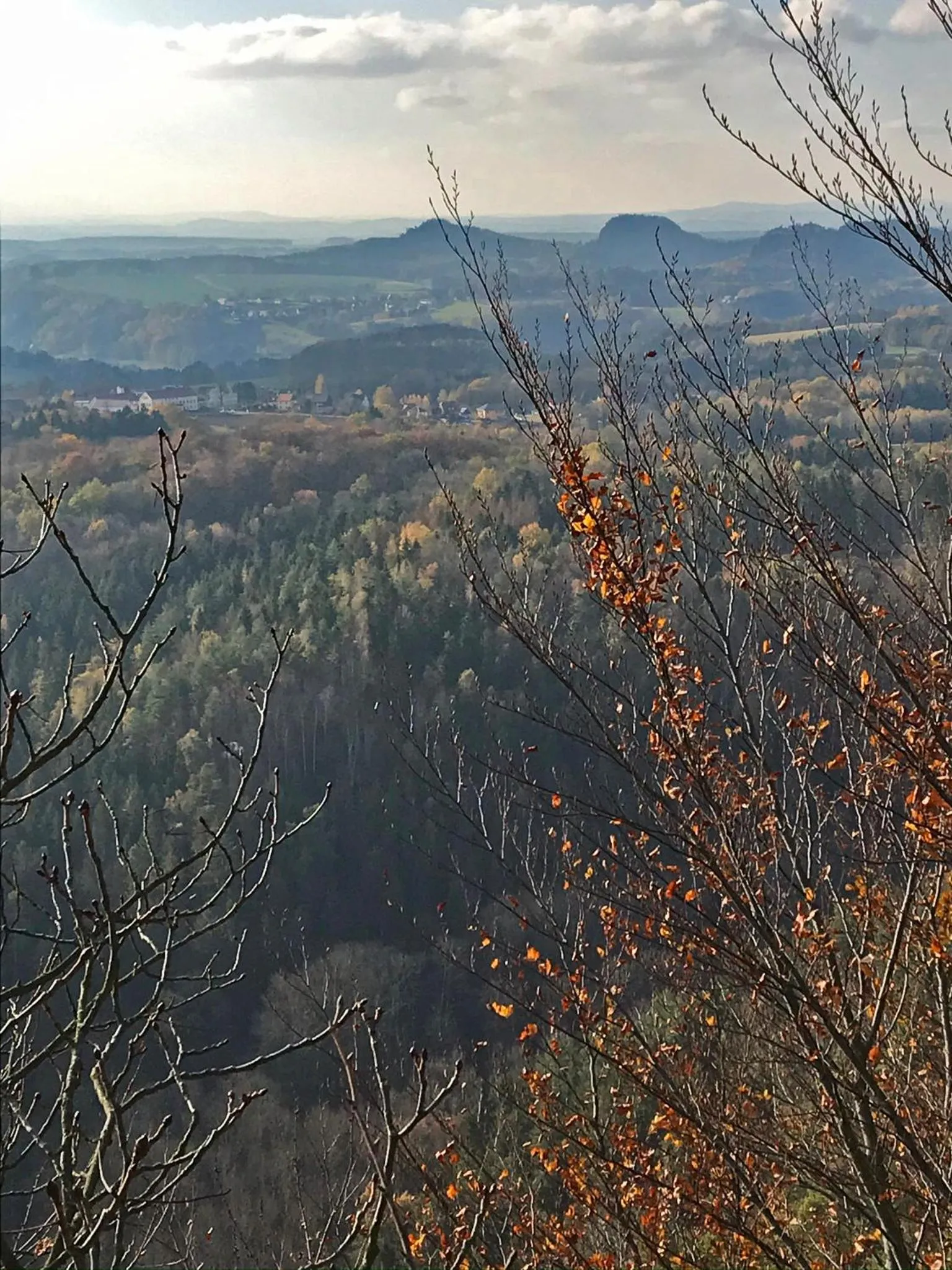 Natural landscape in Brand-Baude