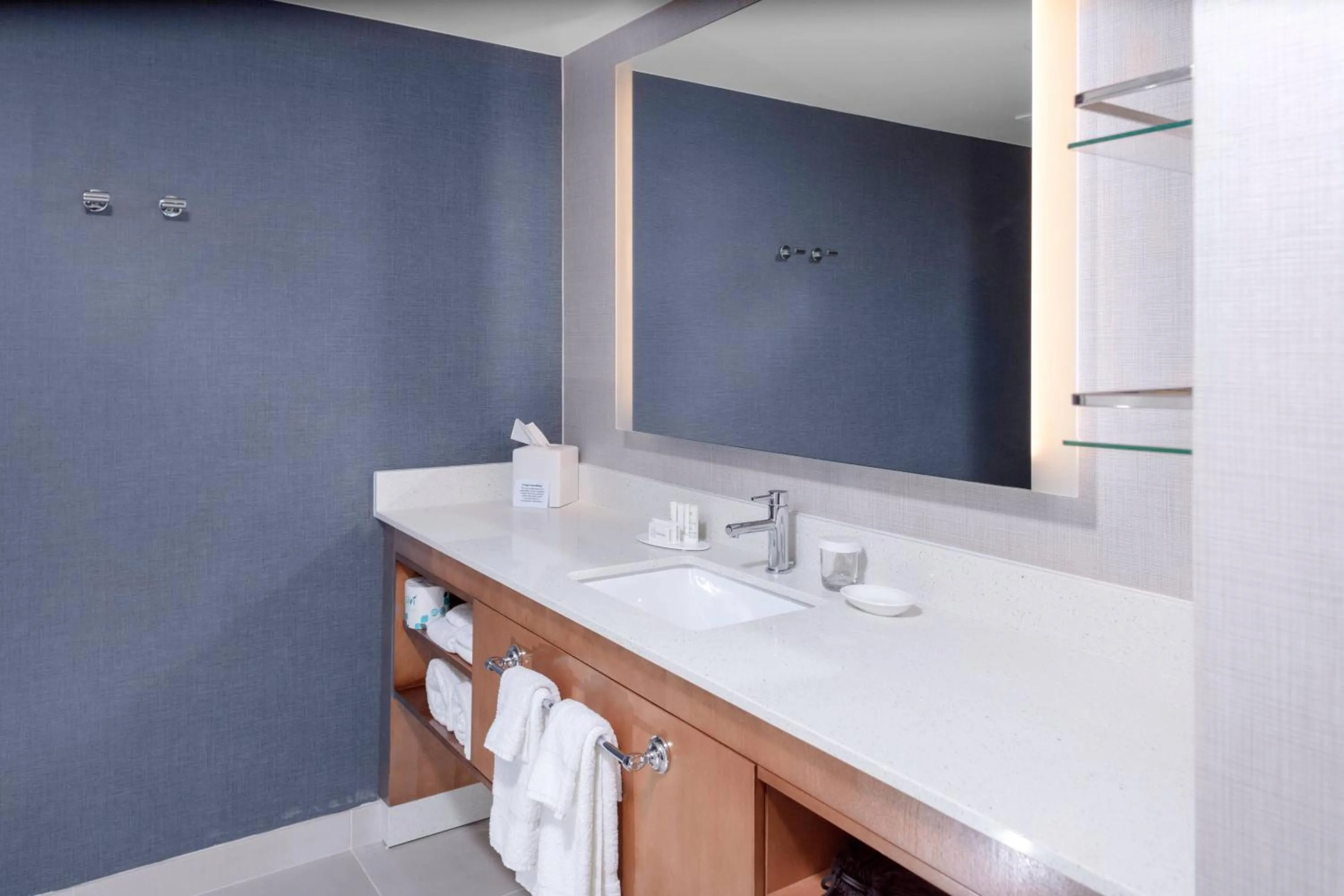 Bathroom in Residence Inn by Marriott Virginia Beach Town Center