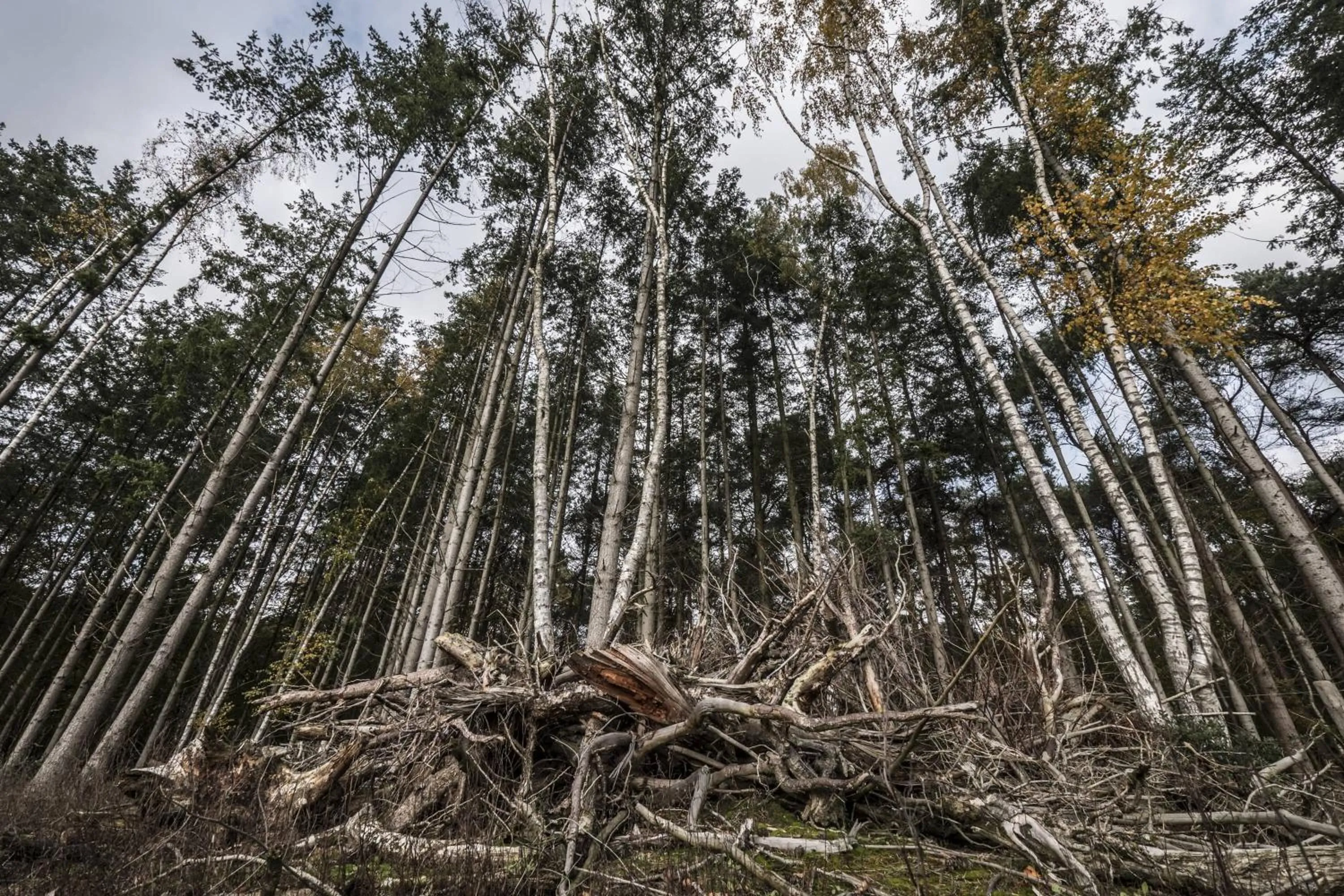 Veul oe thuus Hoeve Kroep an